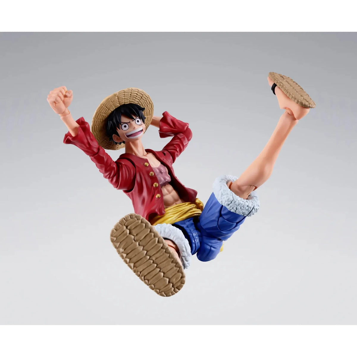 One Piece: Monkey. D. Luffy (Two Years Later)