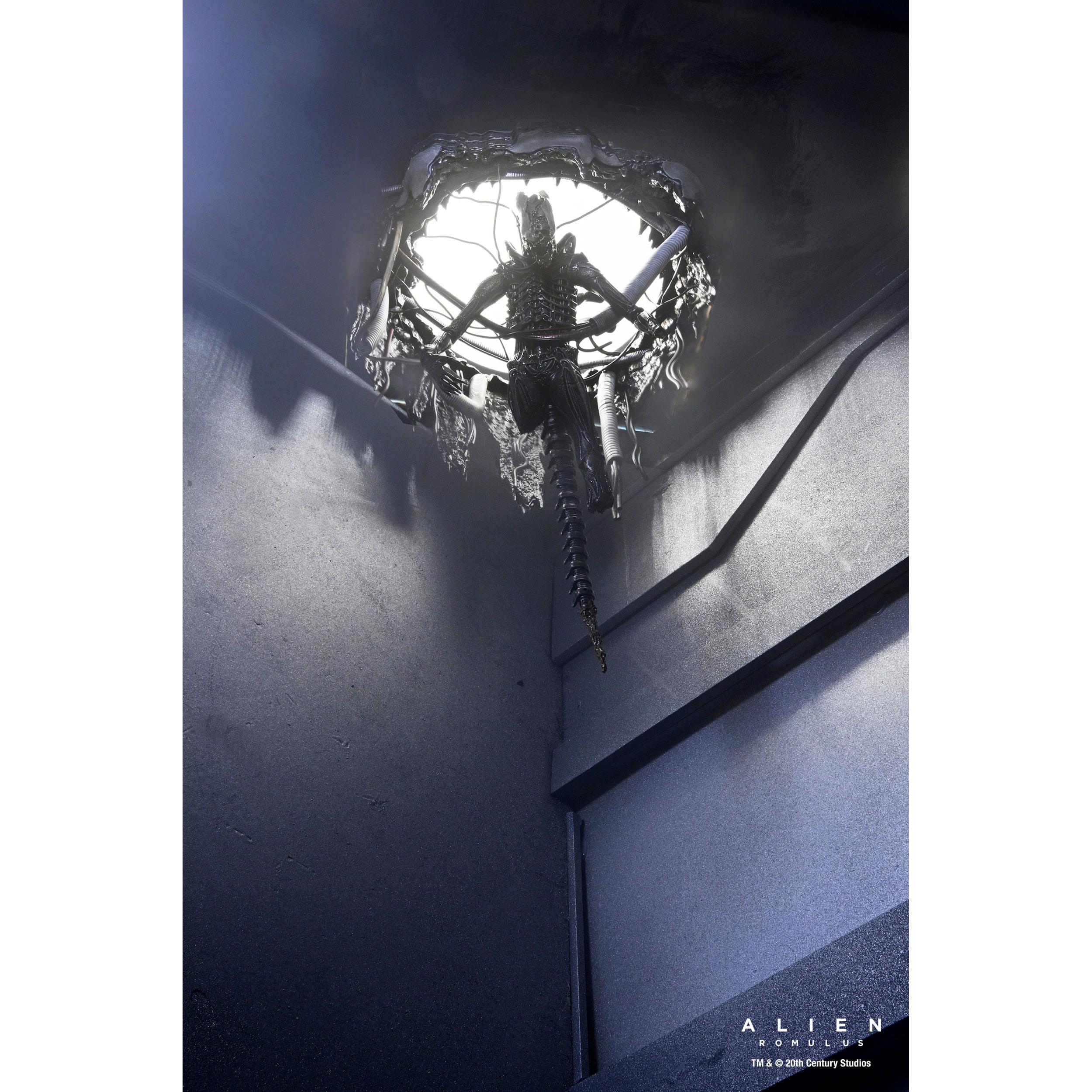 Alien Romulus: Suspended Lab Xenomorph XX121-Actionfiguren-NECA-Mighty Underground