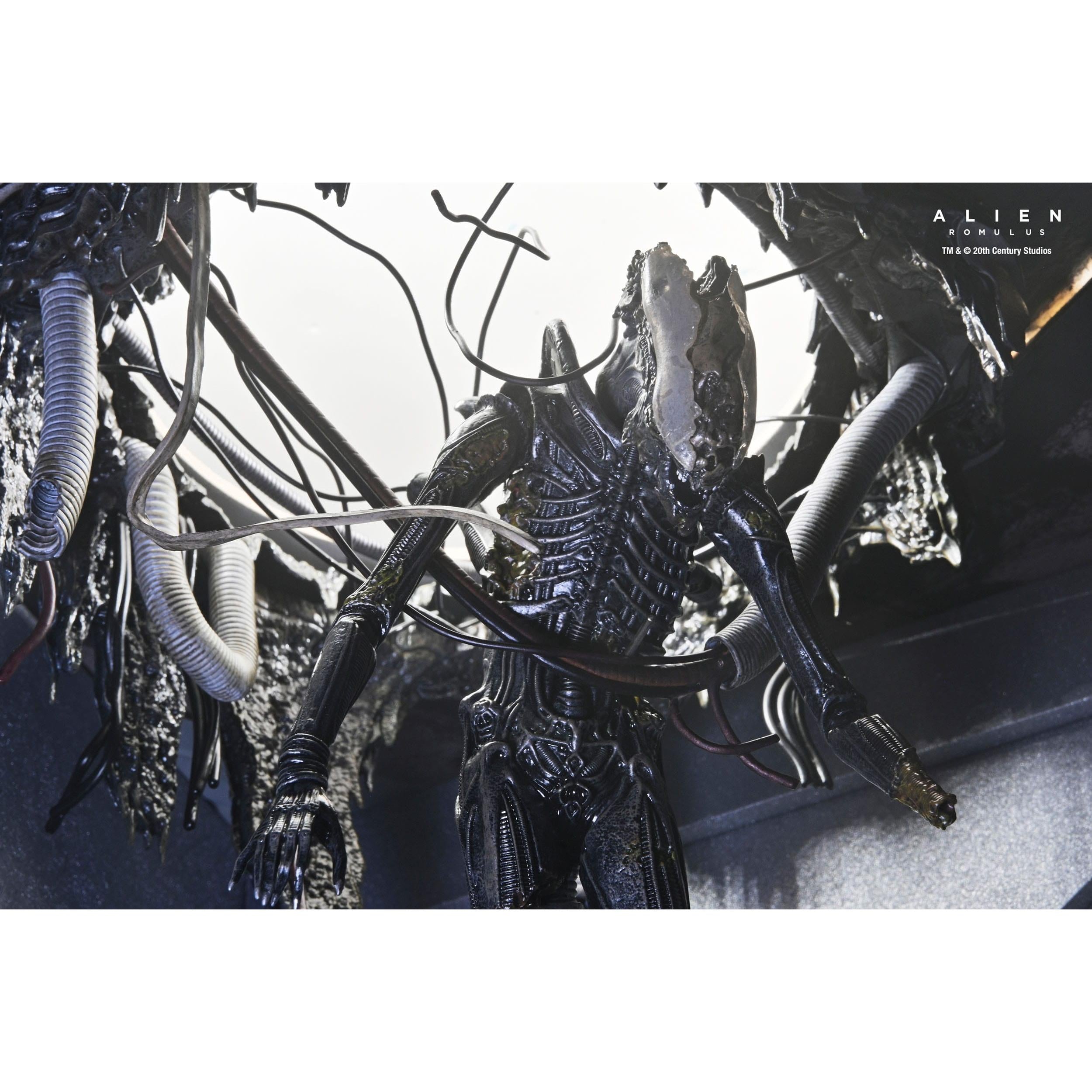 Alien Romulus: Suspended Lab Xenomorph XX121-Actionfiguren-NECA-Mighty Underground