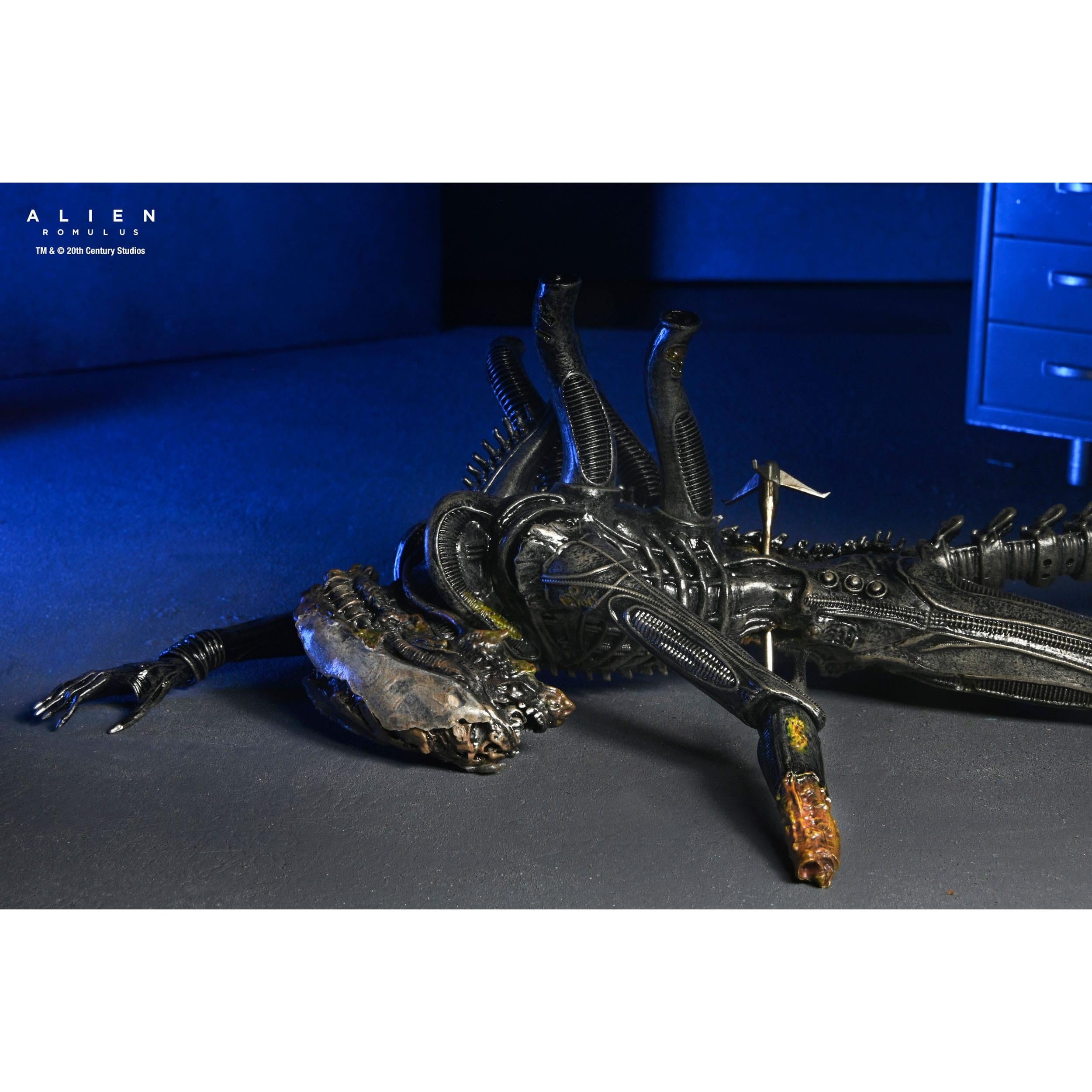 Alien Romulus: Suspended Lab Xenomorph XX121-Actionfiguren-NECA-Mighty Underground