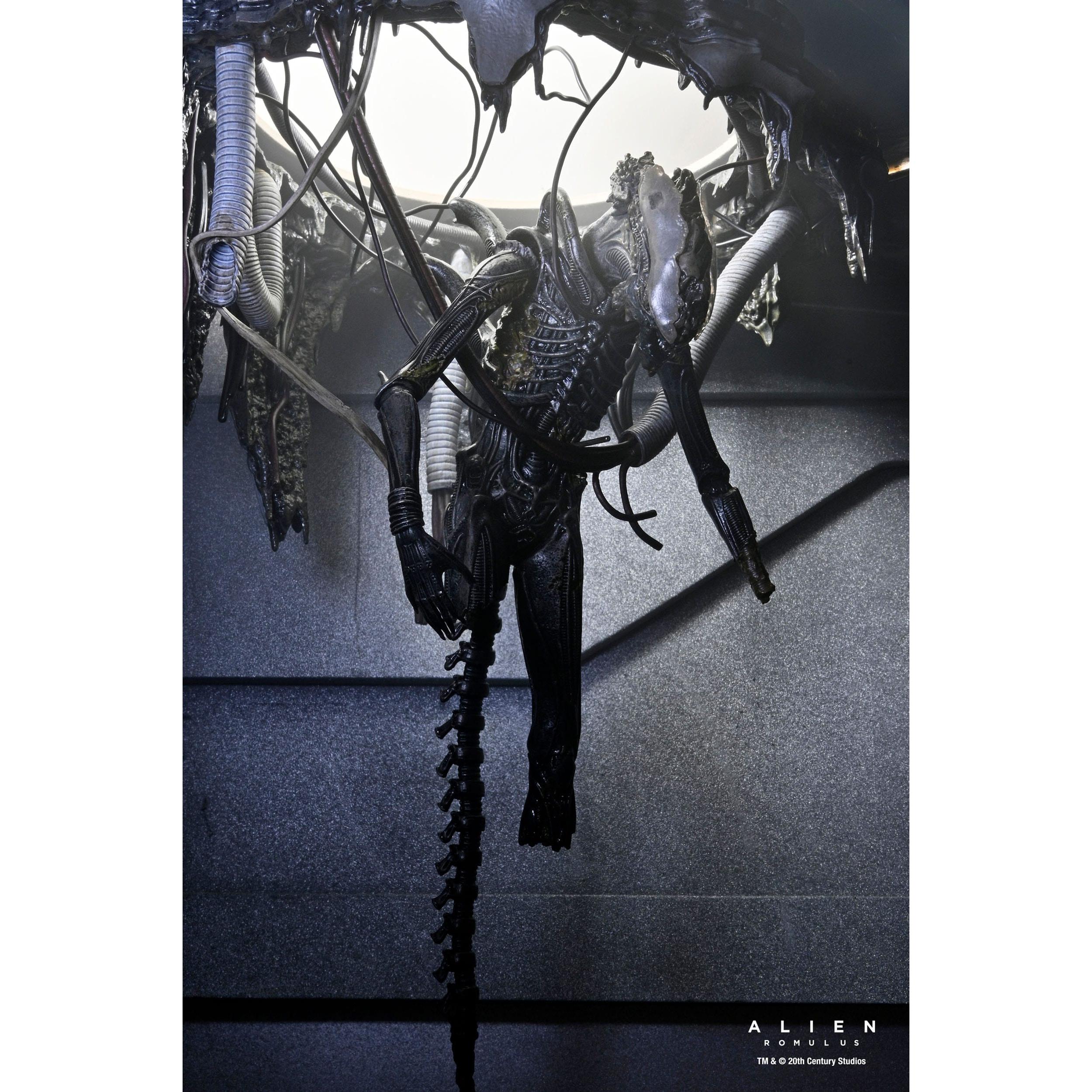 Alien Romulus: Suspended Lab Xenomorph XX121-Actionfiguren-NECA-Mighty Underground