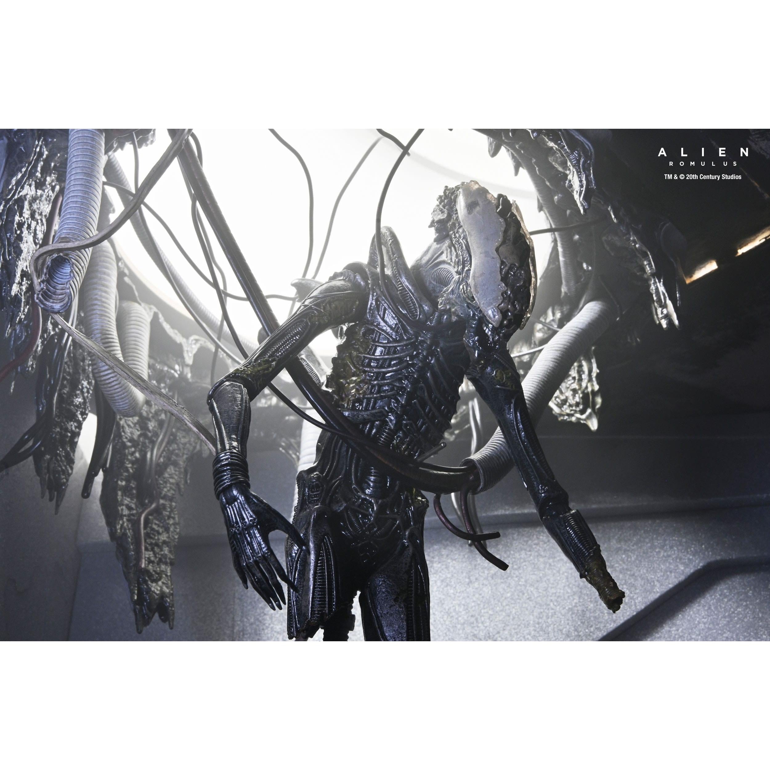 Alien Romulus: Suspended Lab Xenomorph XX121-Actionfiguren-NECA-Mighty Underground