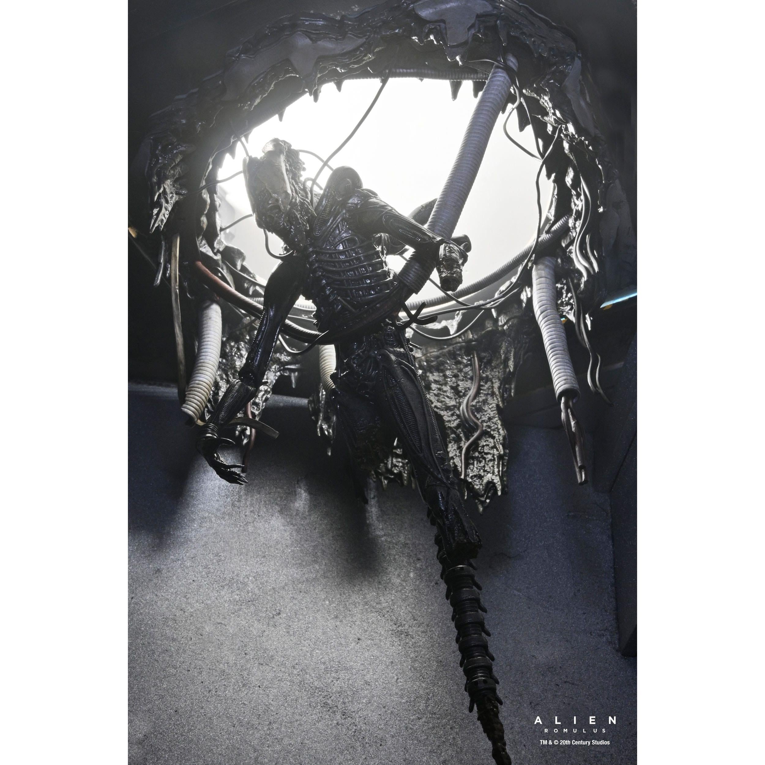 Alien Romulus: Suspended Lab Xenomorph XX121-Actionfiguren-NECA-Mighty Underground