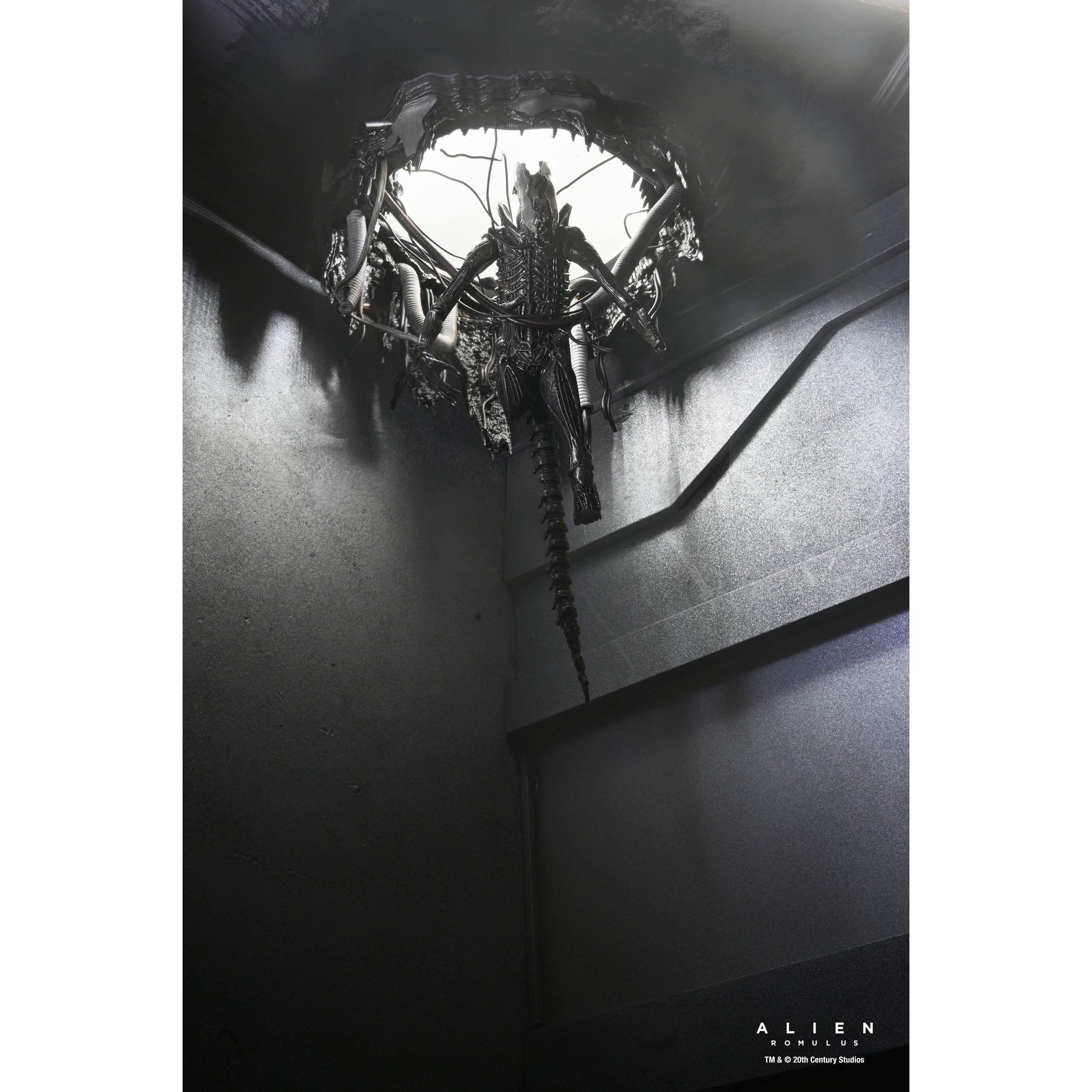 Alien Romulus: Suspended Lab Xenomorph XX121-Actionfiguren-NECA-Mighty Underground