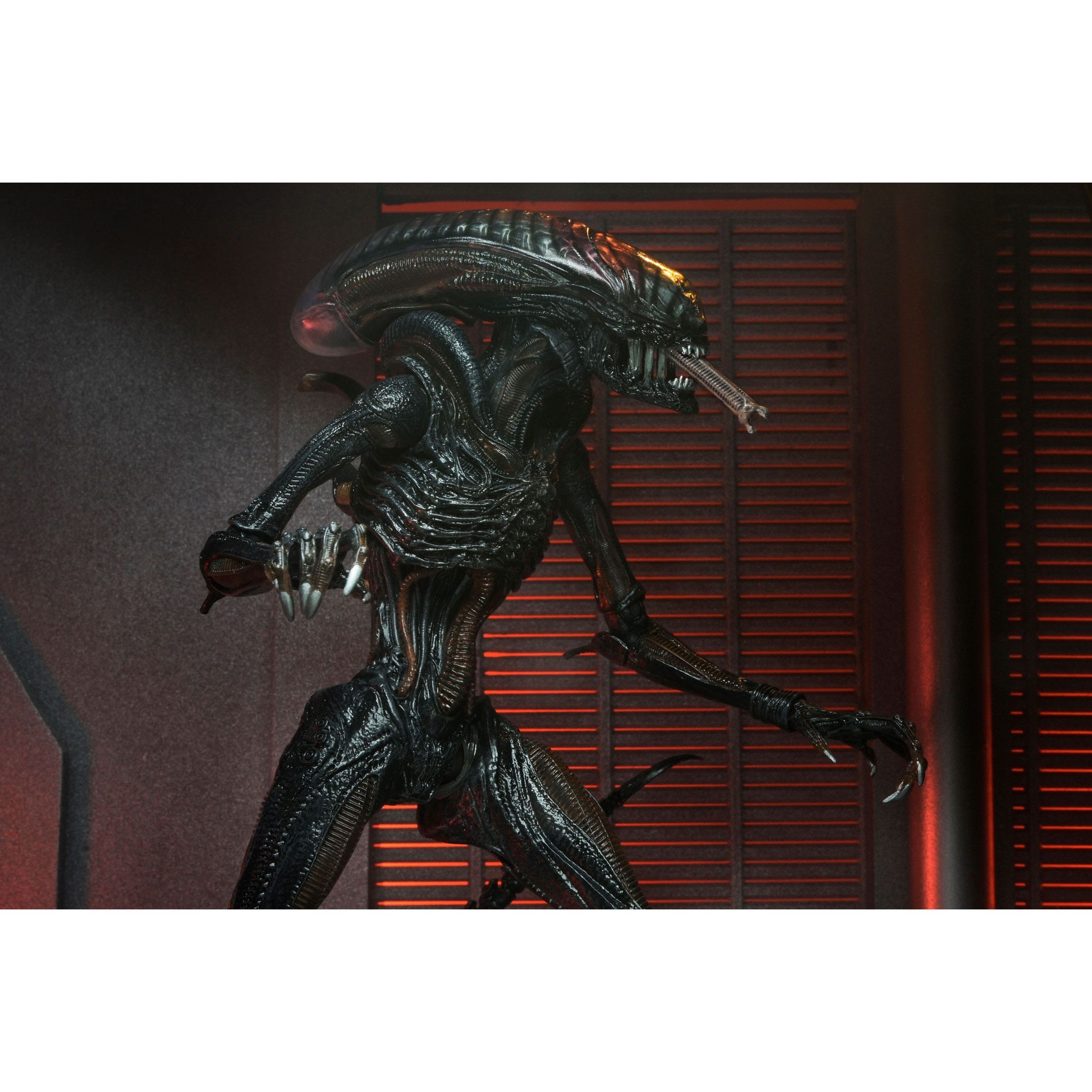 Alien Romulus: Ultimate Scorched Xenomorph-Actionfiguren-NECA-Mighty Underground