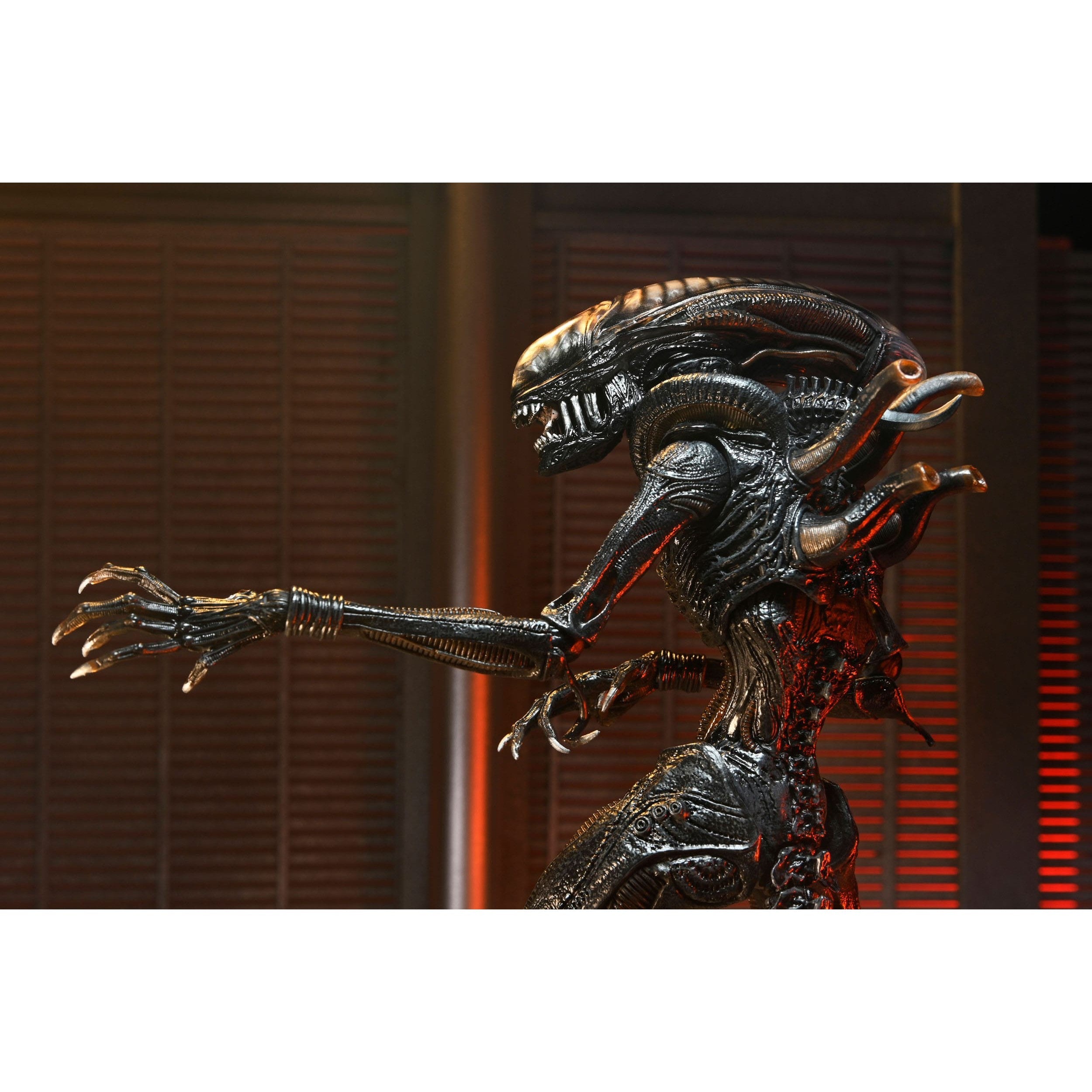 Alien Romulus: Ultimate Scorched Xenomorph-Actionfiguren-NECA-Mighty Underground