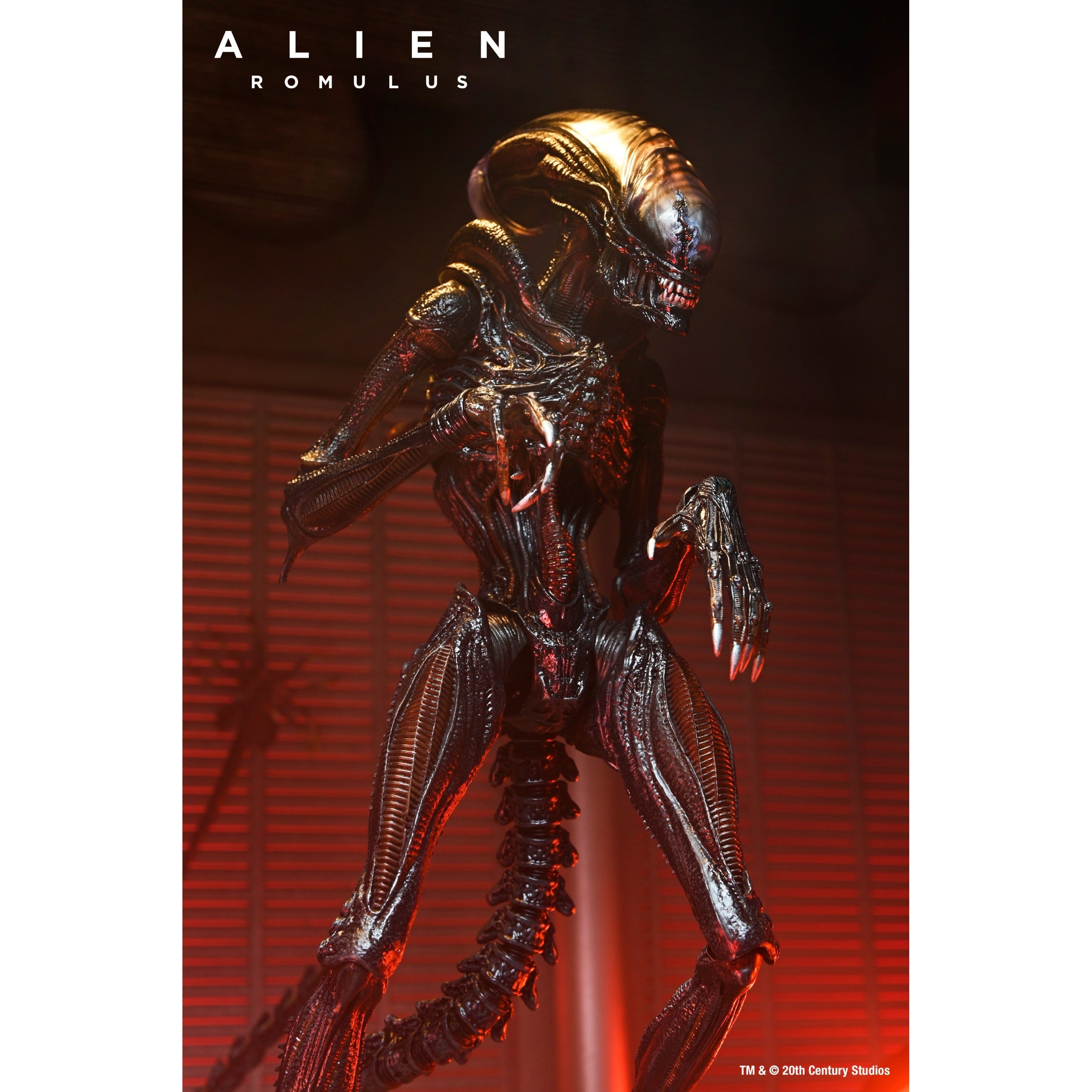 Alien Romulus: Ultimate Scorched Xenomorph-Actionfiguren-NECA-Mighty Underground