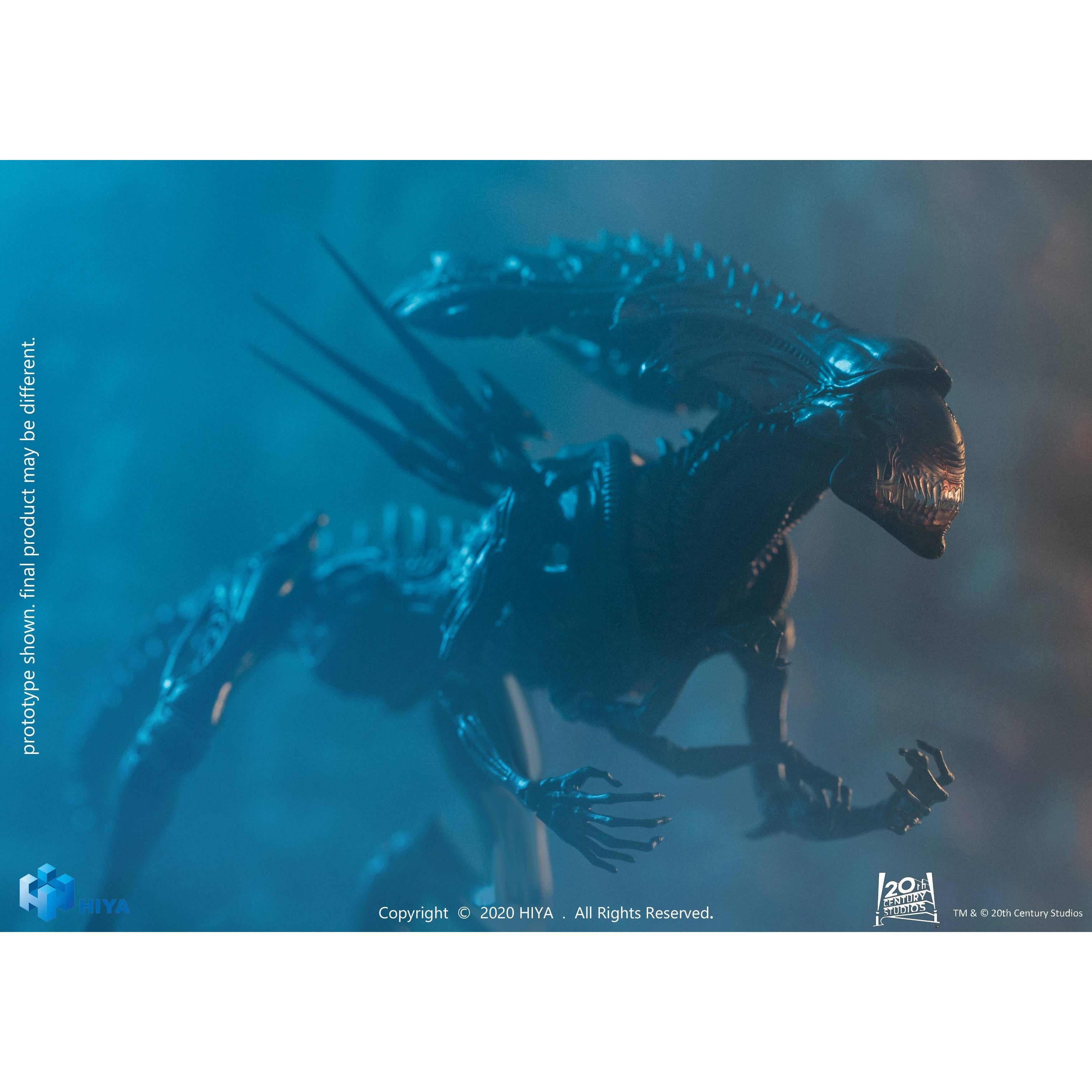 Alien VS Predator: Alien Queen (Battle Damaged) - 1/18-Actionfiguren-Hiya Toys-Mighty Underground