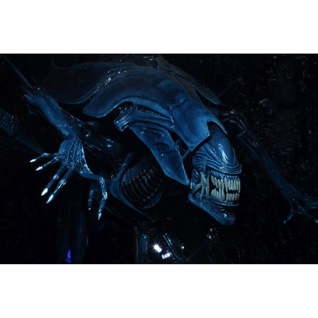 Aliens: Deluxe Alien Queen-Actionfiguren-NECA-Mighty Underground