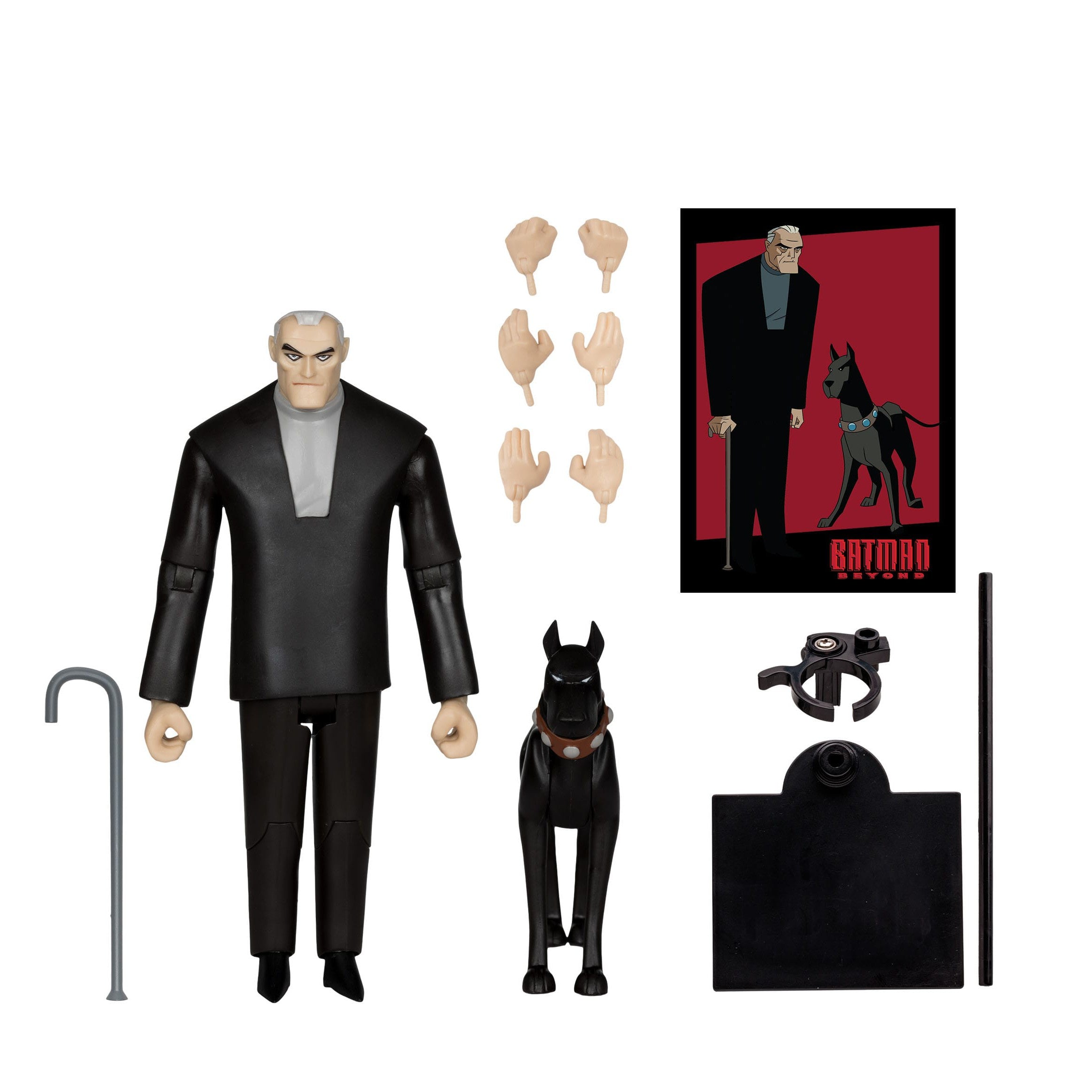 DC Multiverse: Bruce Wayne & Ace (Batman Beyond)-Actionfiguren-McFarlane Toys-Mighty Underground
