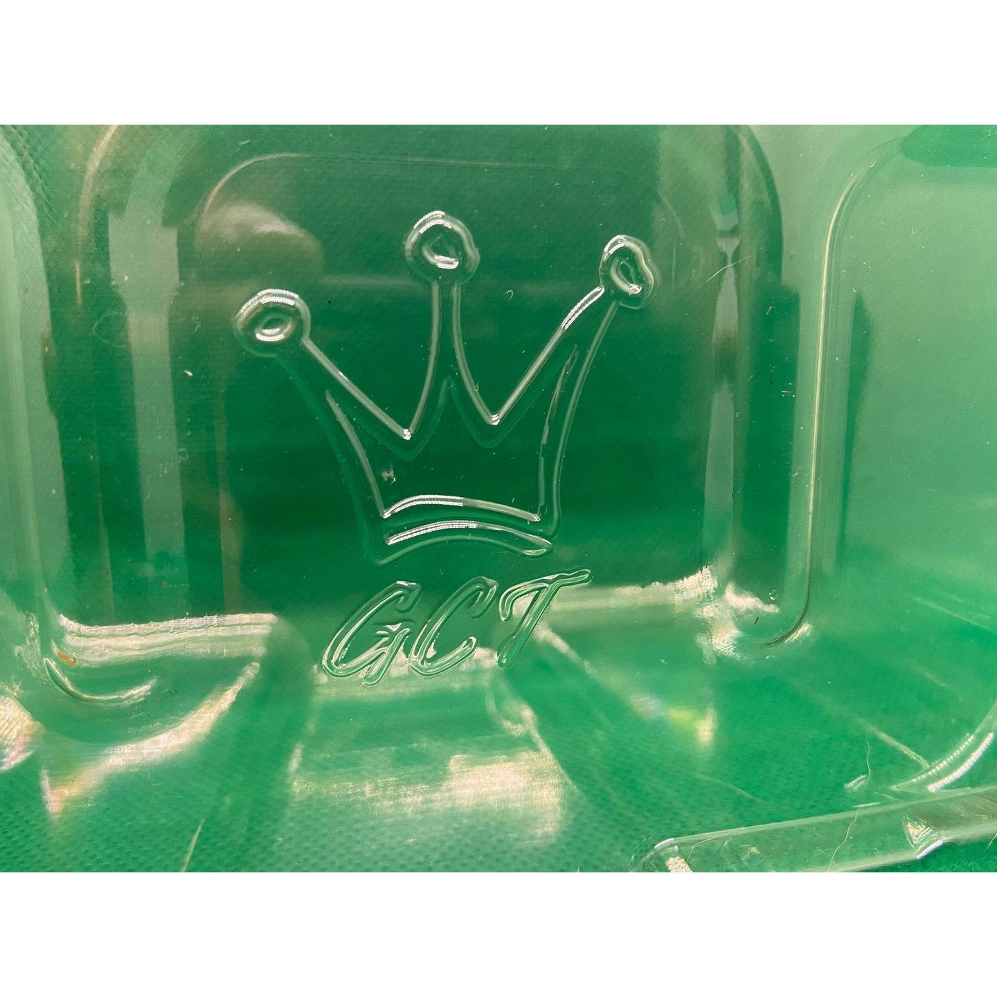 MOTU Origins - Blister-Actionfiguren Protektor-Great Cases & Toys-Mighty Underground