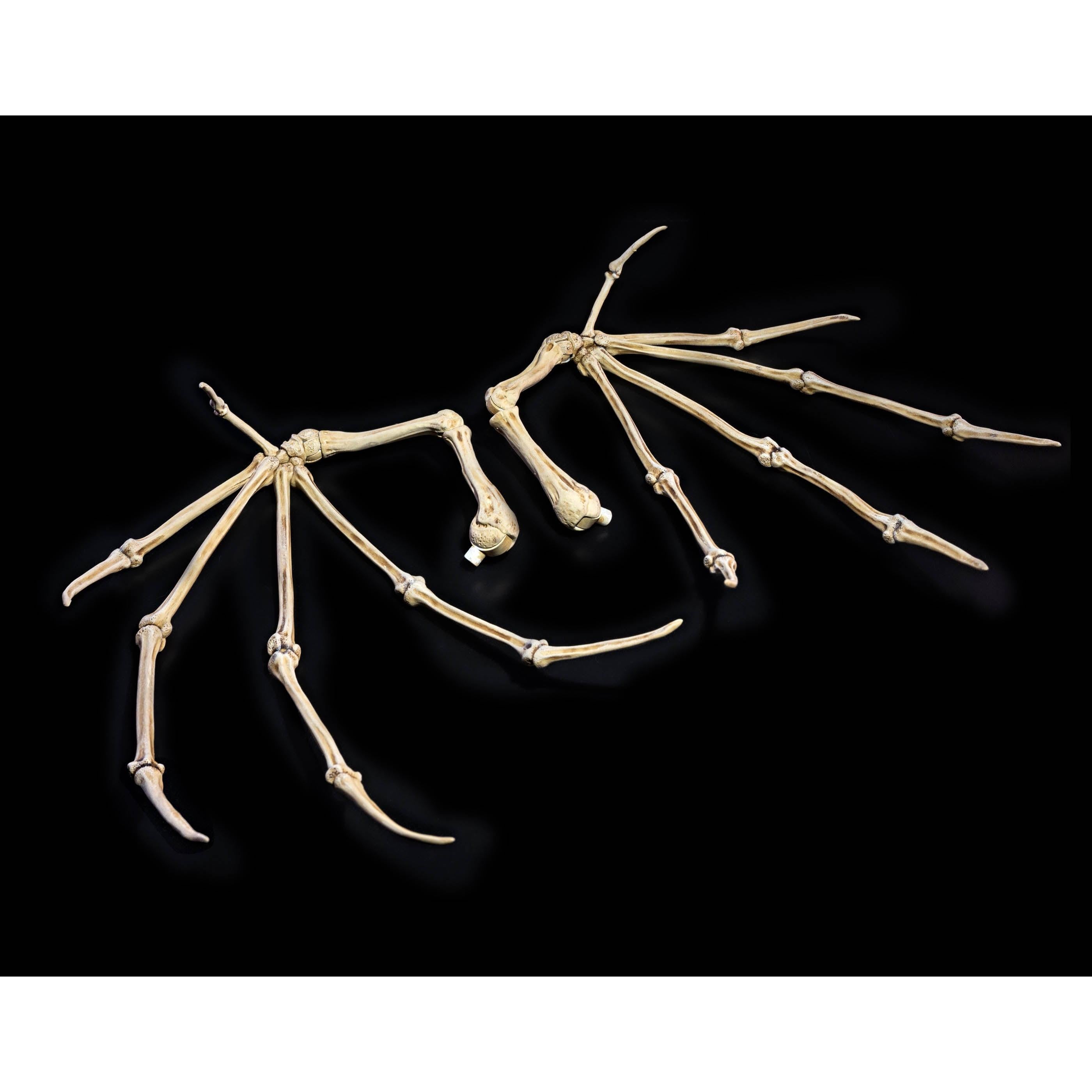 Mythic Legions: Bone Wings-Actionfiguren-Four Horsemen Toy Design-Mighty Underground