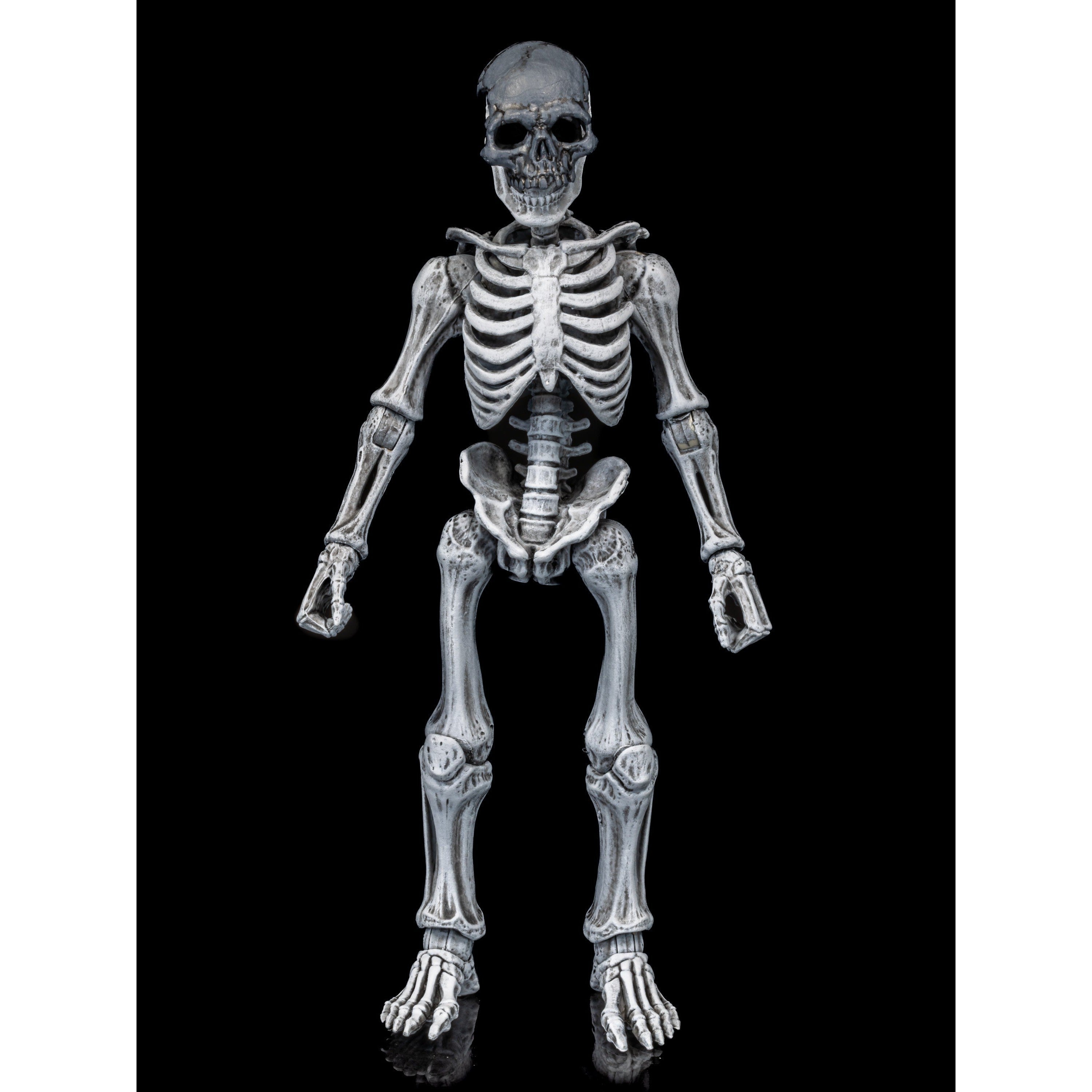 Mythic Legions: Graveyard Skeletons - 4-Pack-Actionfiguren-Four Horsemen Toy Design-Mighty Underground