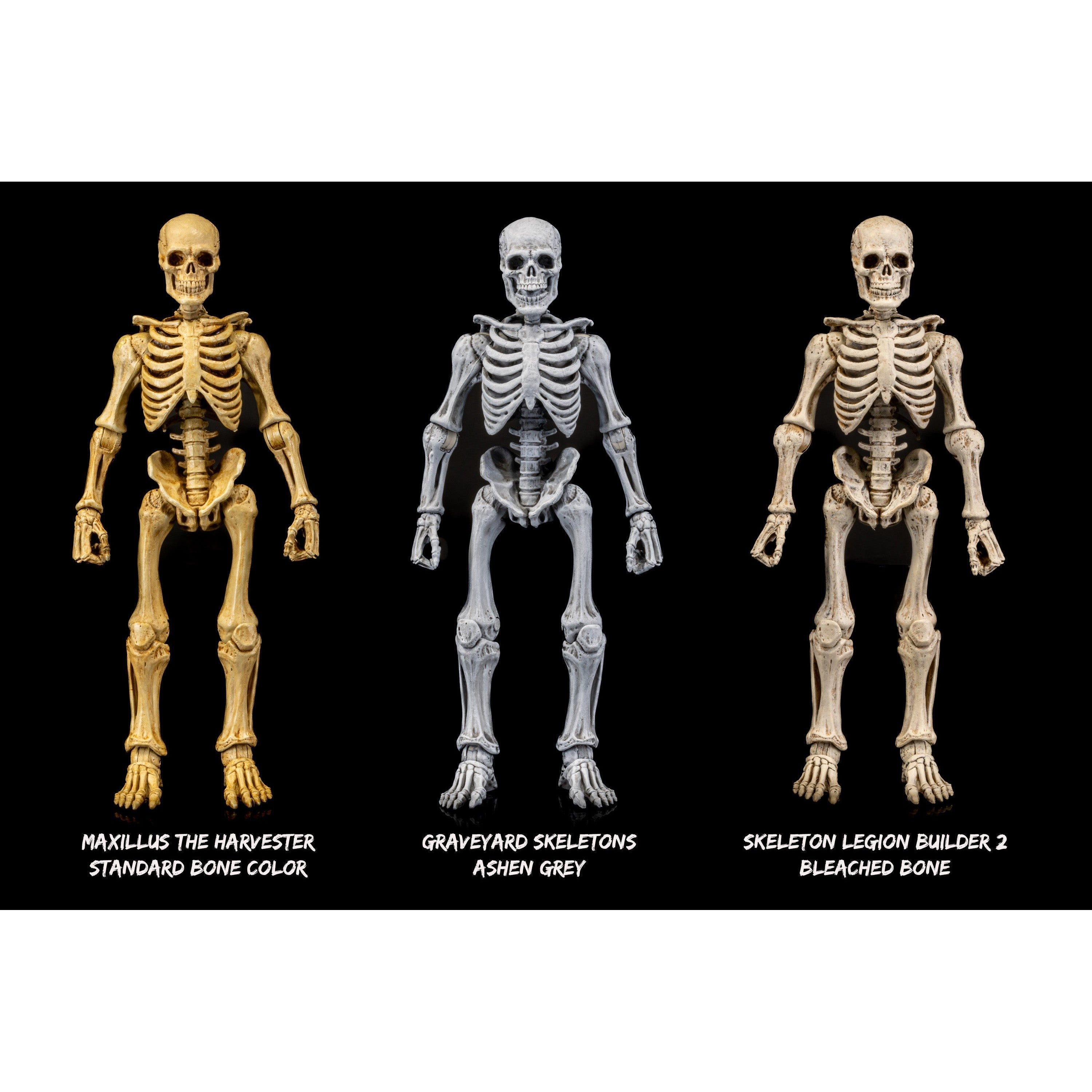 Mythic Legions: Graveyard Skeletons - 4-Pack-Actionfiguren-Four Horsemen Toy Design-Mighty Underground