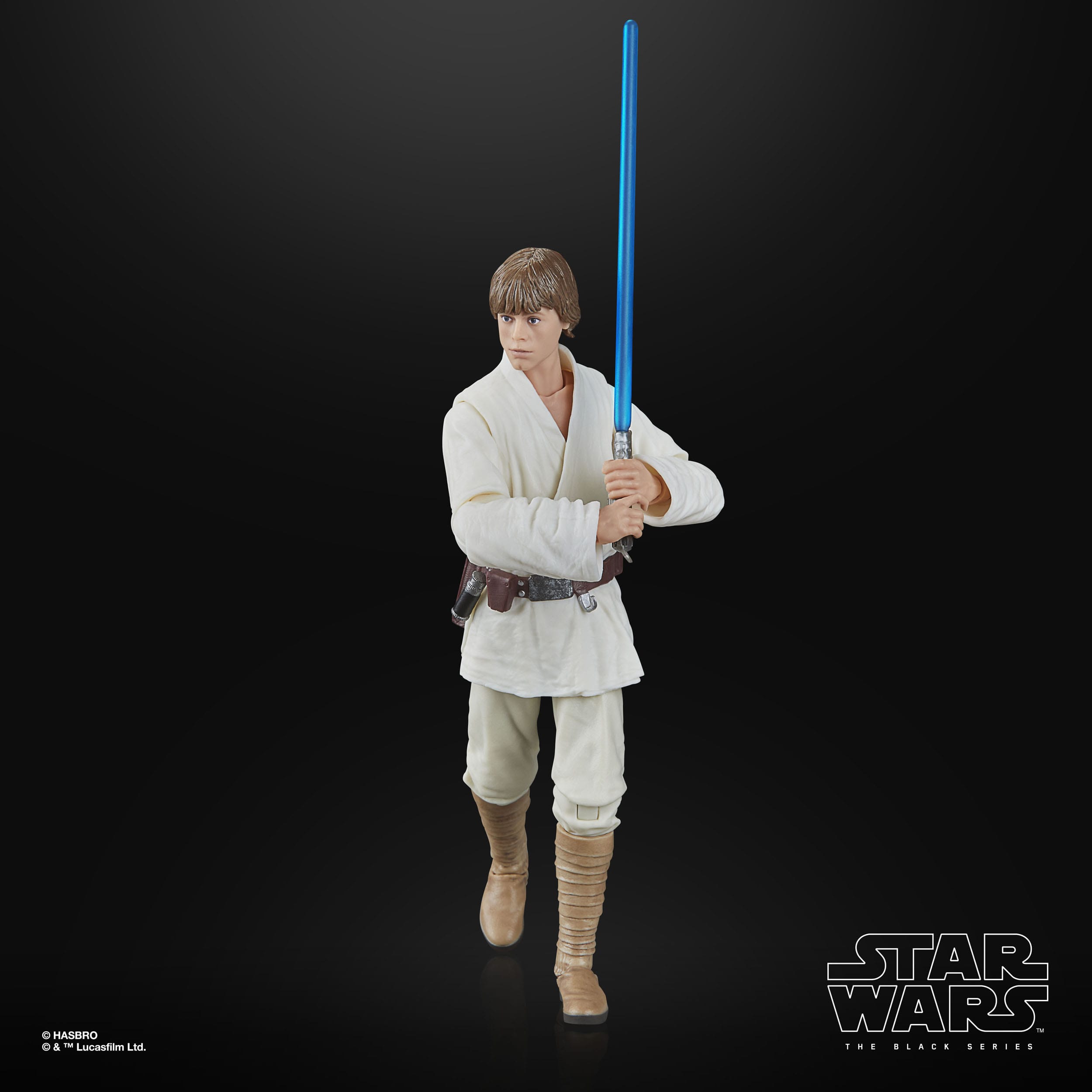 Star Wars Black Series: Luke Skywalker (Ep IV)-Actionfiguren-Hasbro-Mighty Underground