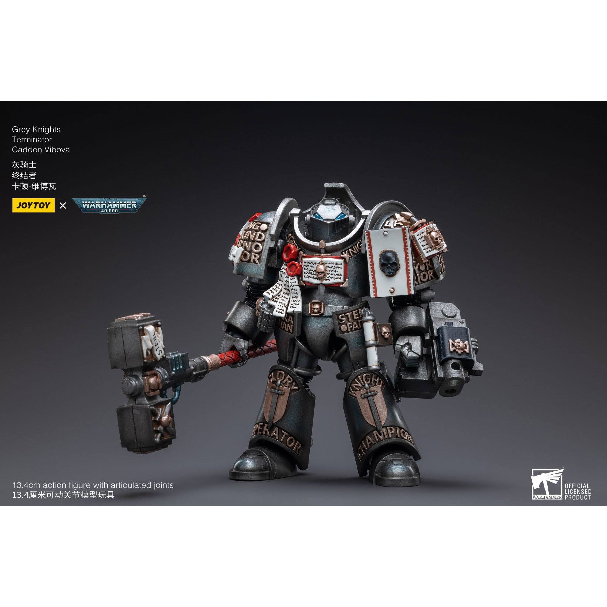 Warhammer 40k: Grey Knights Terminator Caddon Vibova - 13 cm-Actionfiguren-JoyToy-Mighty Underground