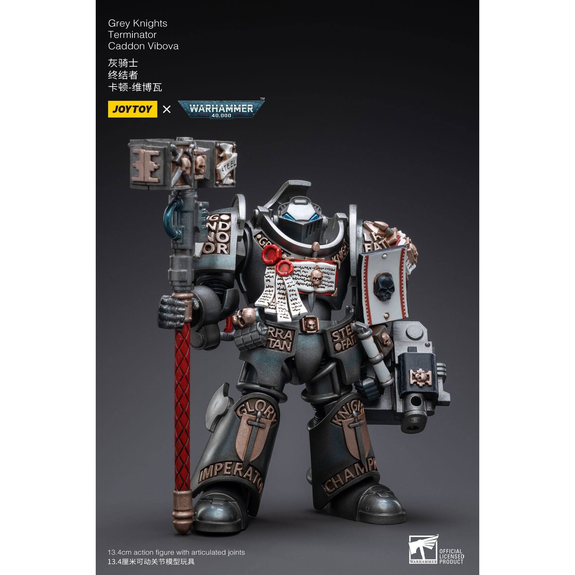 Warhammer 40k: Grey Knights Terminator Caddon Vibova - 13 cm-Actionfiguren-JoyToy-Mighty Underground