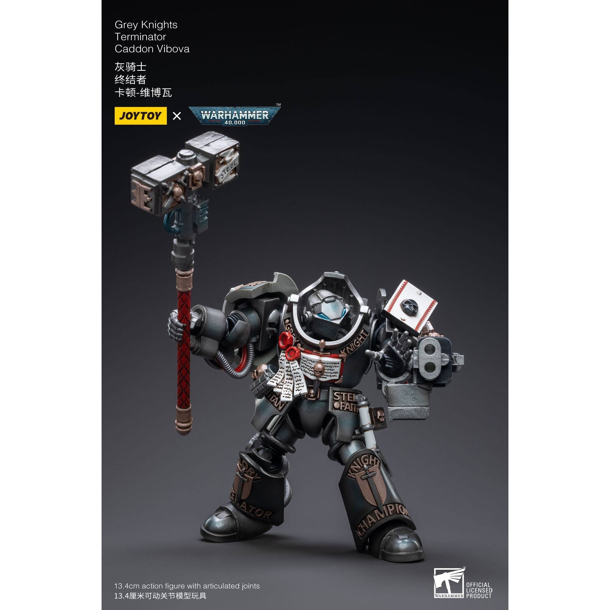 Warhammer 40k: Grey Knights Terminator Caddon Vibova - 13 cm-Actionfiguren-JoyToy-Mighty Underground