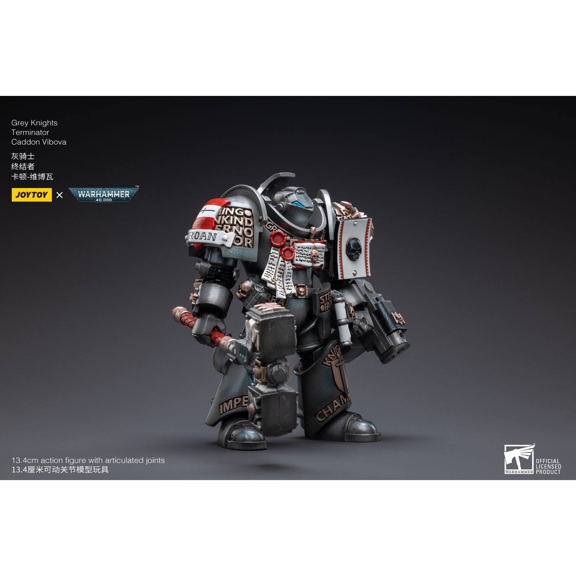 Warhammer 40k: Grey Knights Terminator Caddon Vibova - 13 cm-Actionfiguren-JoyToy-Mighty Underground