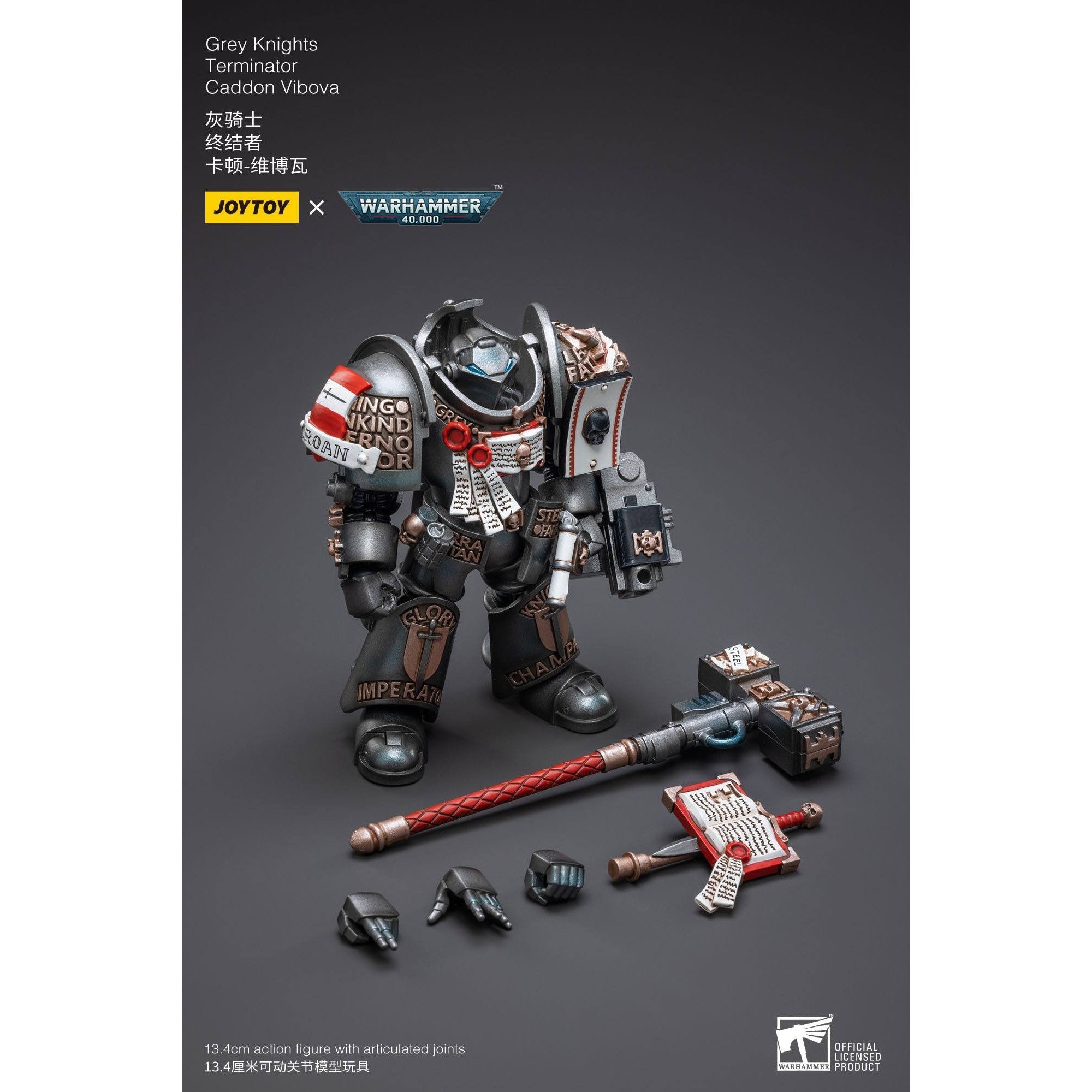 Warhammer 40k: Grey Knights Terminator Caddon Vibova - 13 cm-Actionfiguren-JoyToy-Mighty Underground