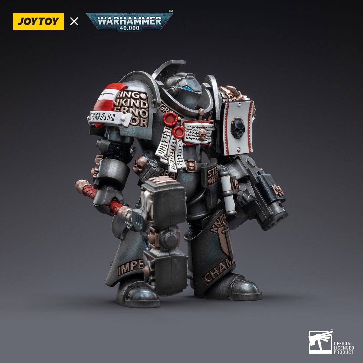 Warhammer 40k: Grey Knights Terminator Caddon Vibova - 13 cm-Actionfiguren-JoyToy-Mighty Underground