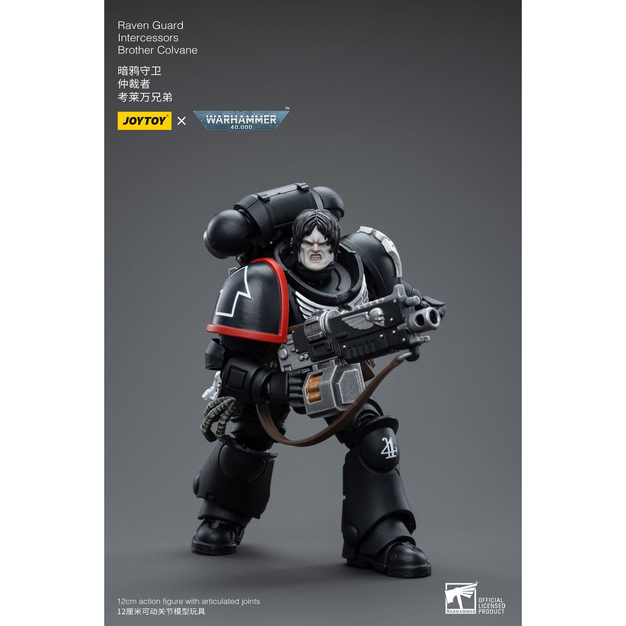 Warhammer 40k: Raven Guard Intercessors Brother Colvane - 12 cm-Actionfiguren-JoyToy-Mighty Underground