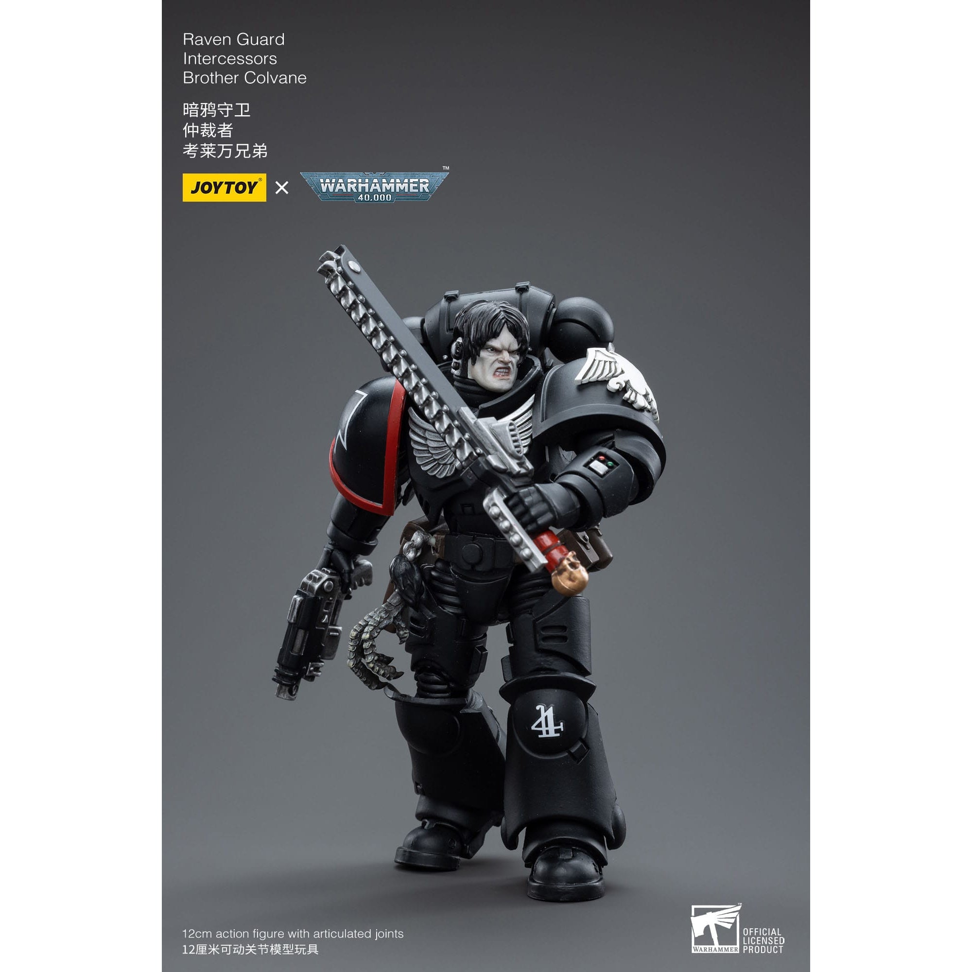 Warhammer 40k: Raven Guard Intercessors Brother Colvane - 12 cm-Actionfiguren-JoyToy-Mighty Underground