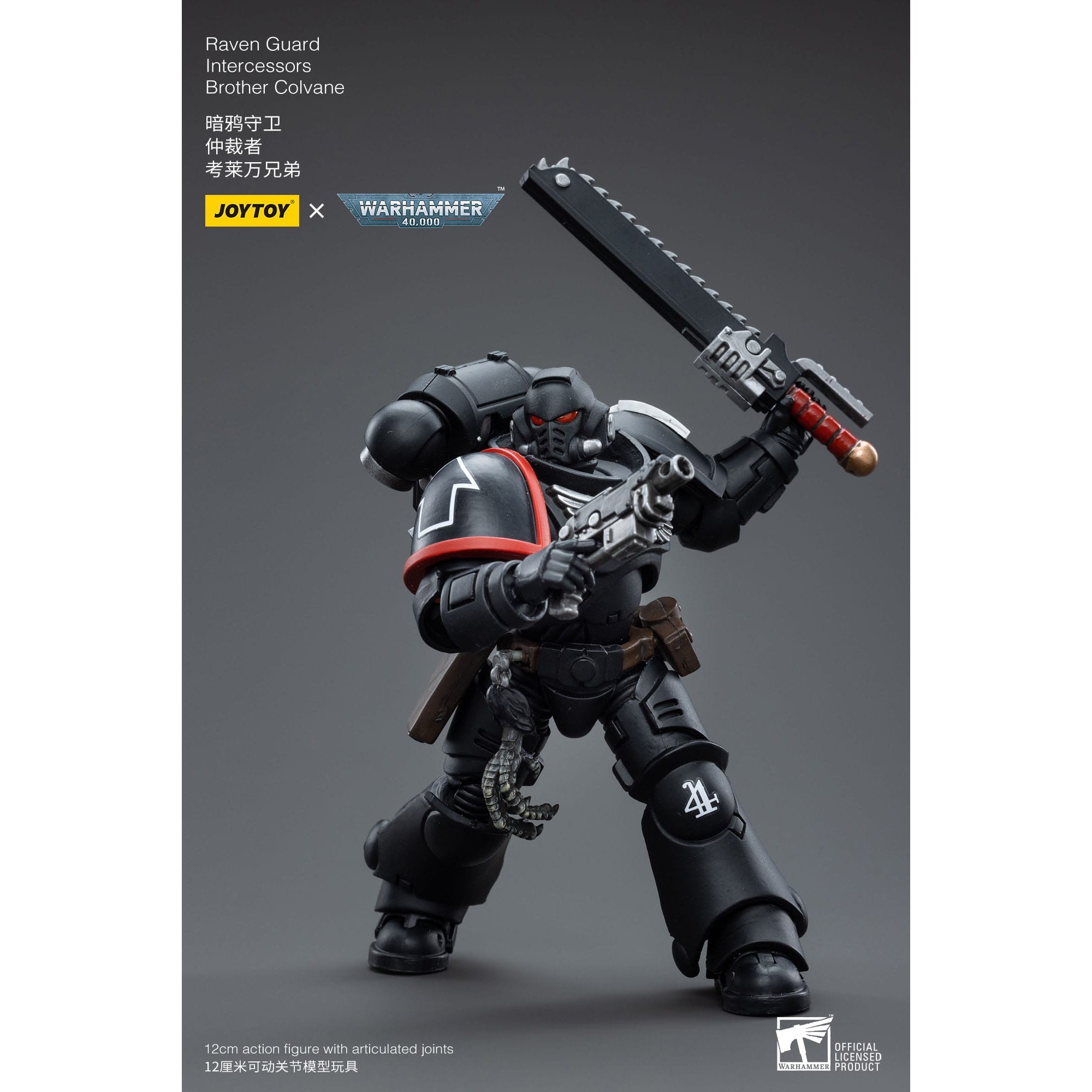 Warhammer 40k: Raven Guard Intercessors Brother Colvane - 12 cm-Actionfiguren-JoyToy-Mighty Underground