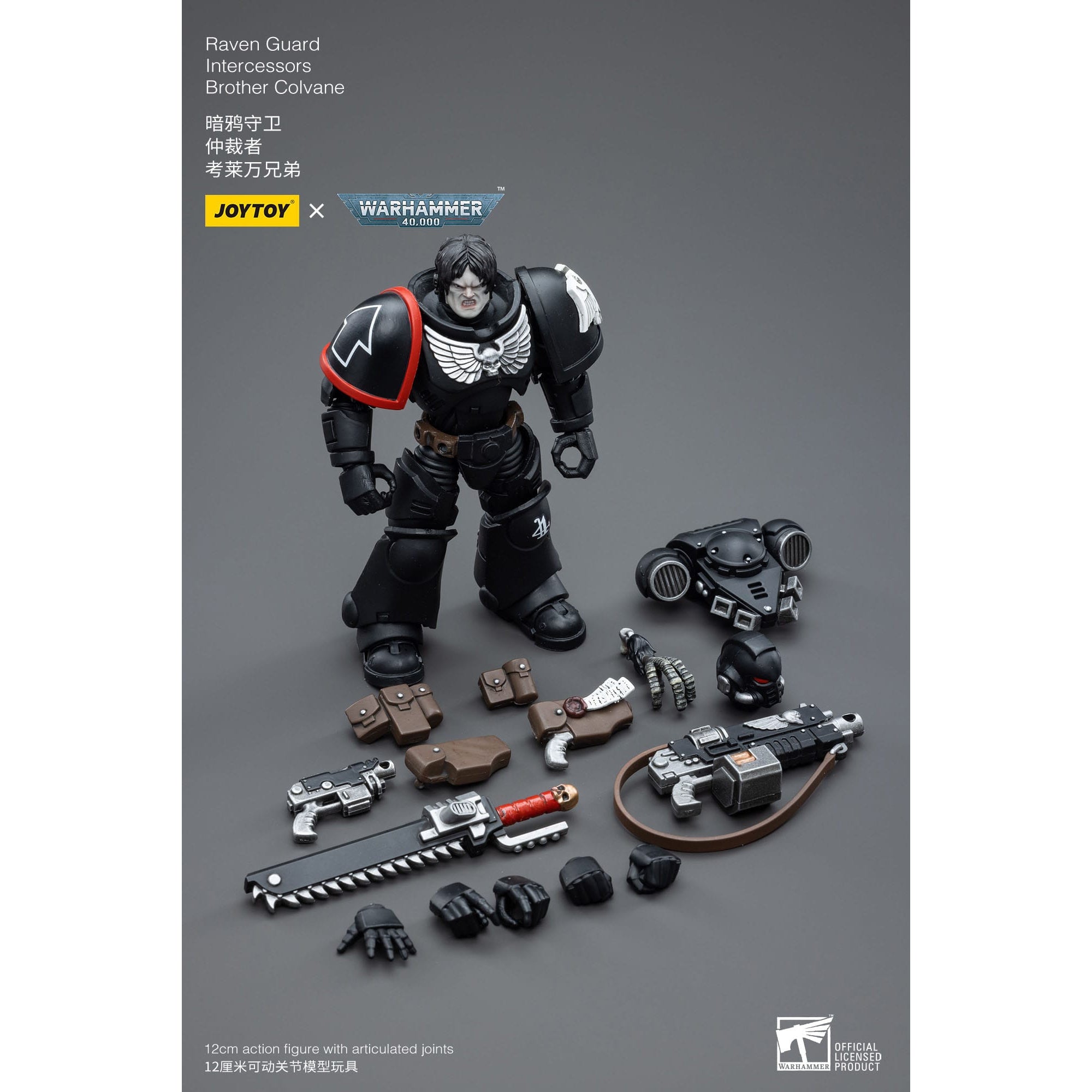 Warhammer 40k: Raven Guard Intercessors Brother Colvane - 12 cm-Actionfiguren-JoyToy-Mighty Underground