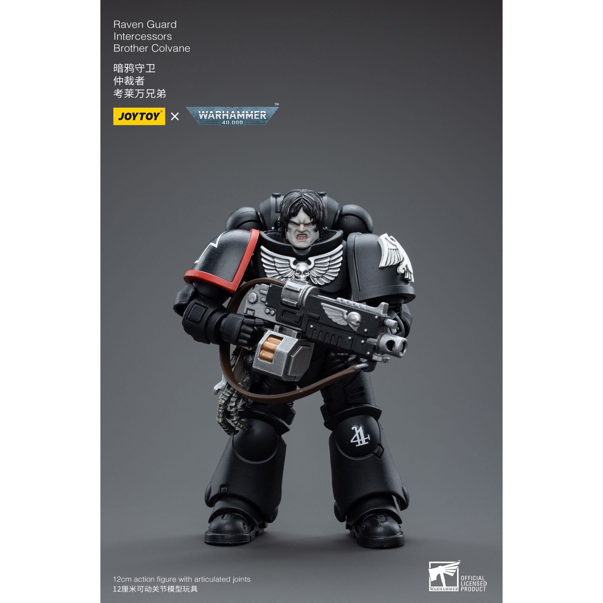 Warhammer 40k: Raven Guard Intercessors Brother Colvane - 12 cm-Actionfiguren-JoyToy-Mighty Underground