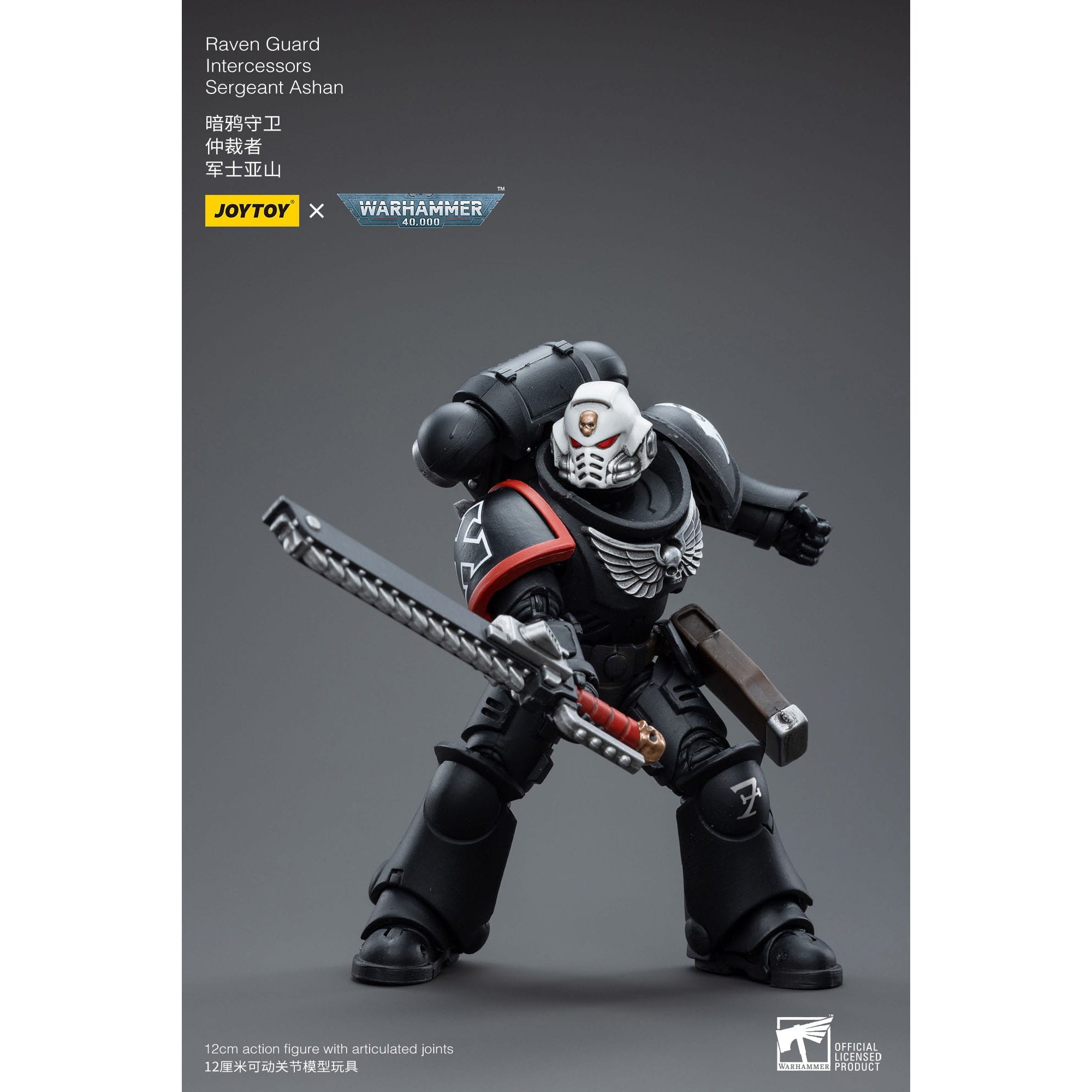 Warhammer 40k: Raven Guard Intercessors Sergeant Ashan - 12 cm-Actionfiguren-JoyToy-Mighty Underground