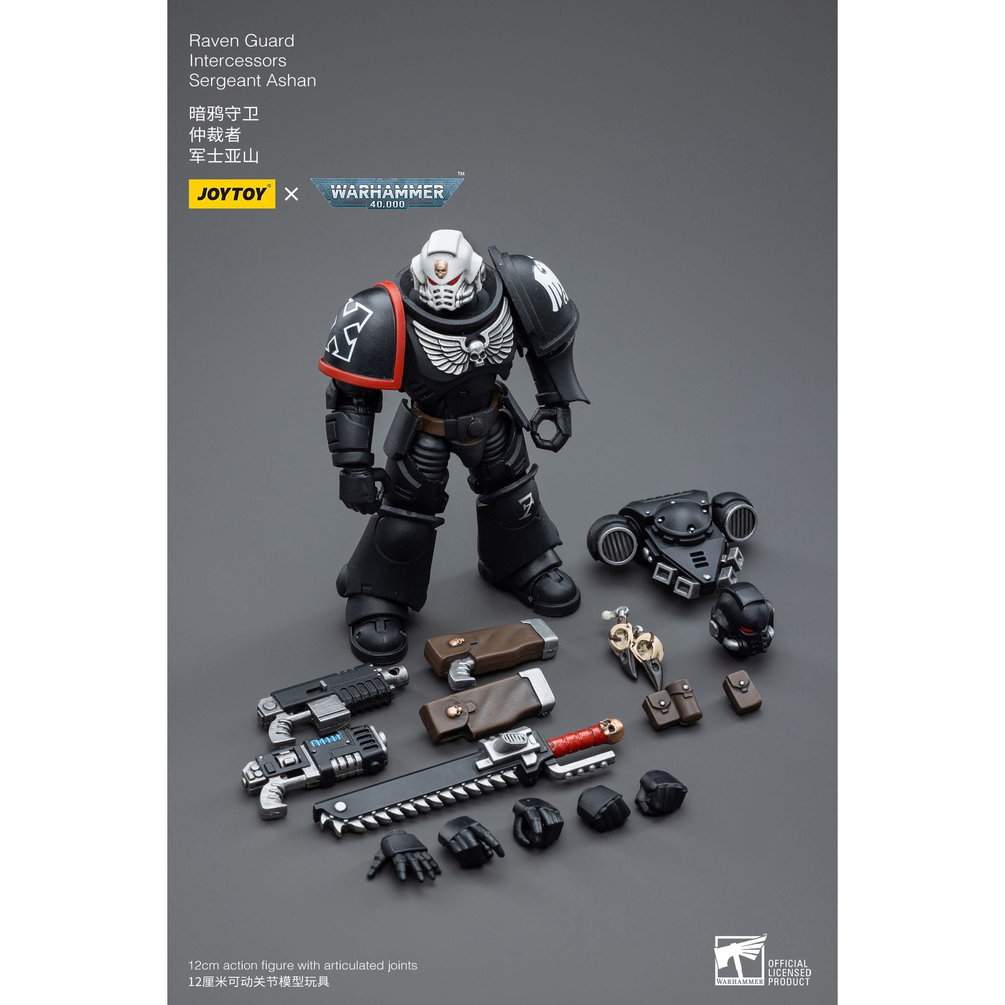 Warhammer 40k: Raven Guard Intercessors Sergeant Ashan - 12 cm-Actionfiguren-JoyToy-Mighty Underground