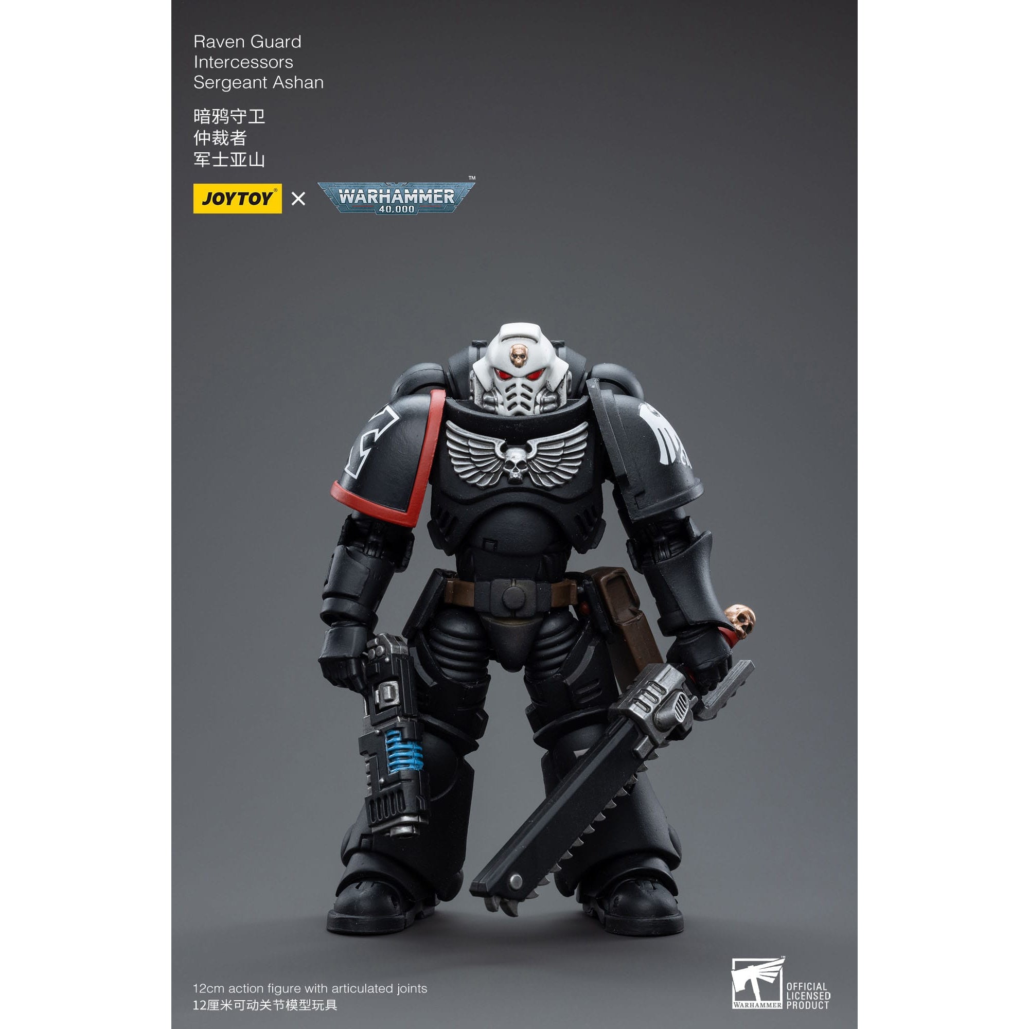 Warhammer 40k: Raven Guard Intercessors Sergeant Ashan - 12 cm-Actionfiguren-JoyToy-Mighty Underground