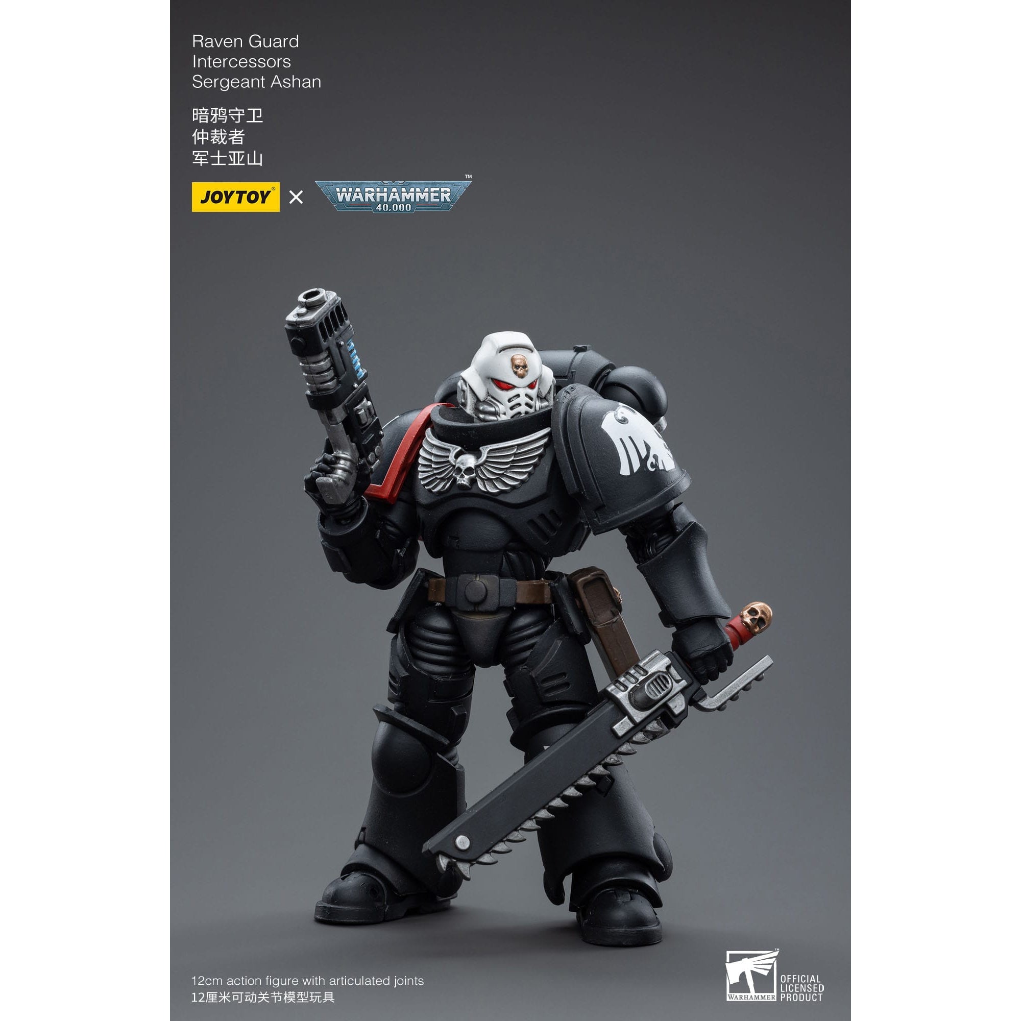 Warhammer 40k: Raven Guard Intercessors Sergeant Ashan - 12 cm-Actionfiguren-JoyToy-Mighty Underground