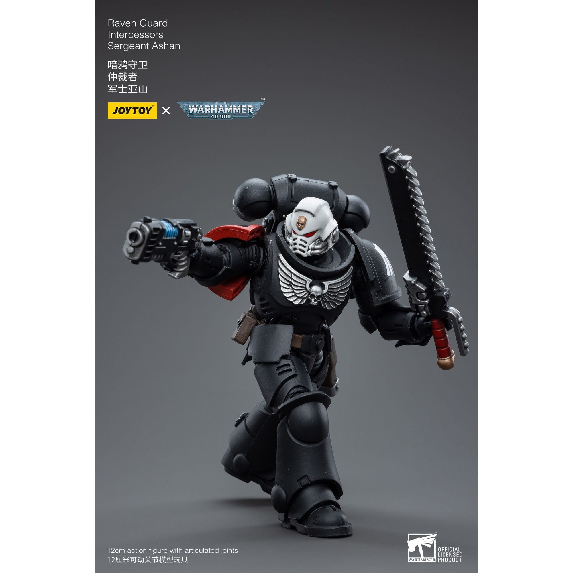 Warhammer 40k: Raven Guard Intercessors Sergeant Ashan - 12 cm-Actionfiguren-JoyToy-Mighty Underground