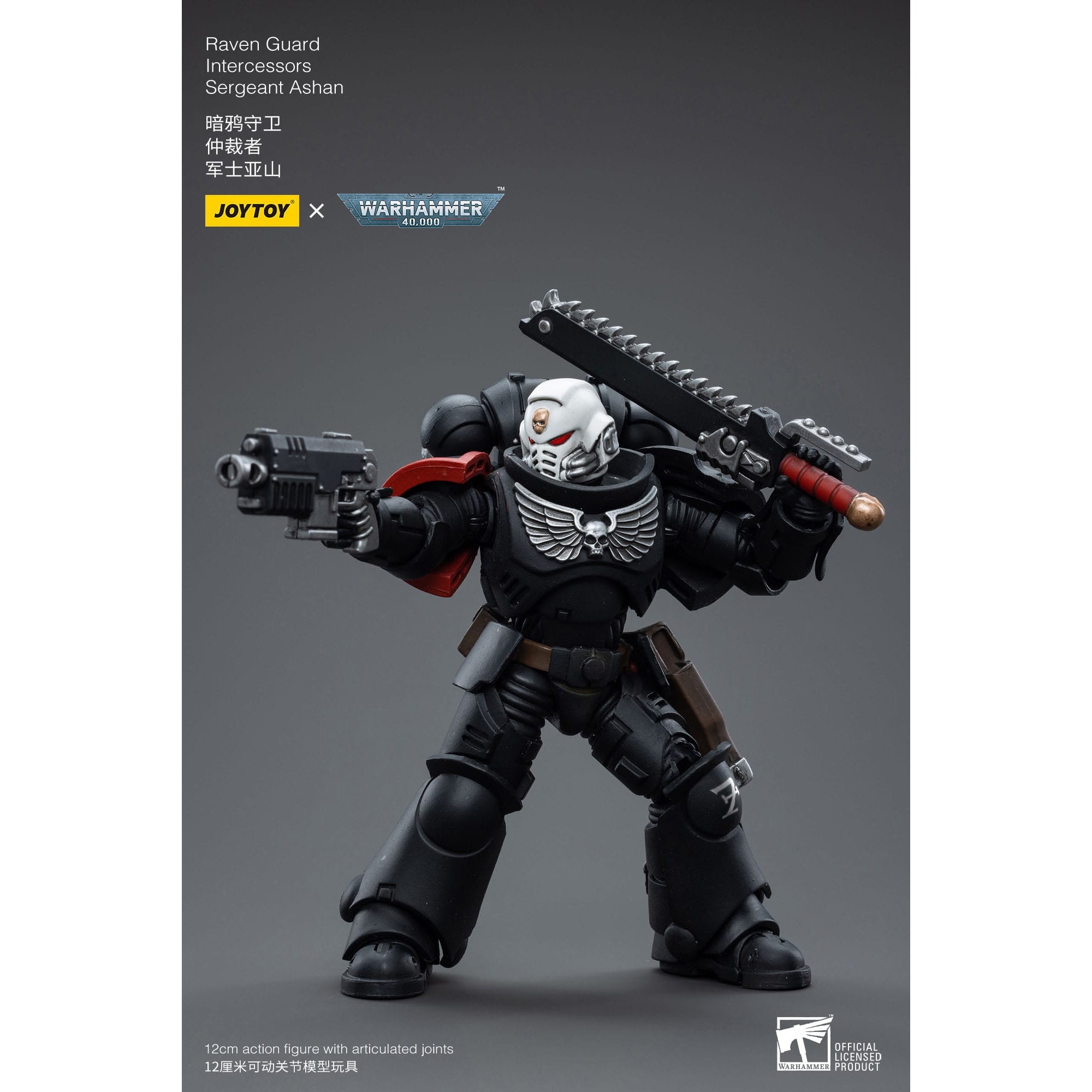 Warhammer 40k: Raven Guard Intercessors Sergeant Ashan - 12 cm-Actionfiguren-JoyToy-Mighty Underground
