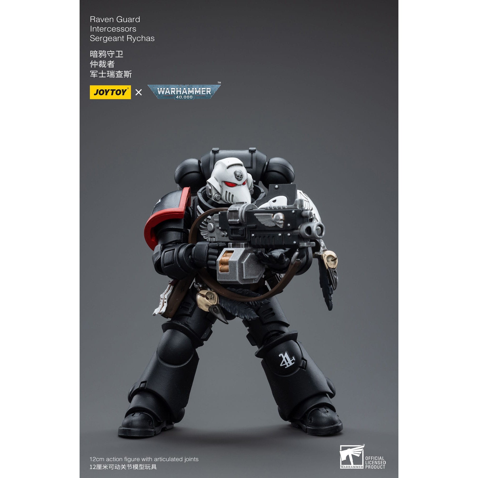 Warhammer 40k: Raven Guard Intercessors Sergeant Rychas - 12 cm-Actionfiguren-JoyToy-Mighty Underground