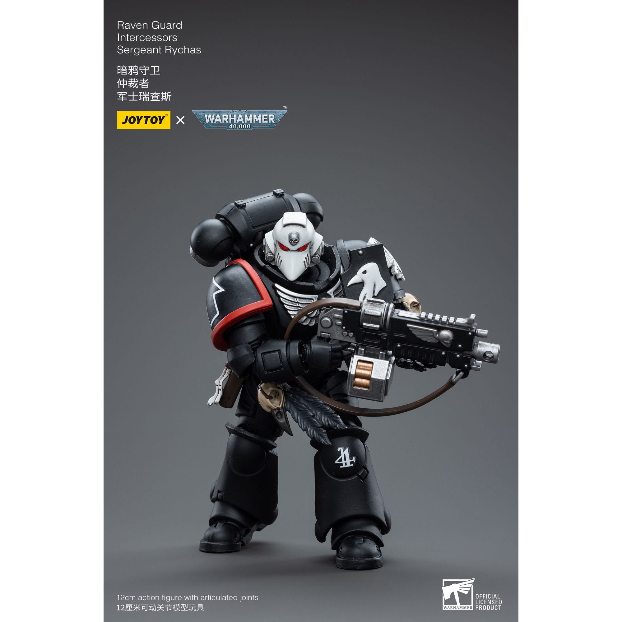 Warhammer 40k: Raven Guard Intercessors Sergeant Rychas - 12 cm-Actionfiguren-JoyToy-Mighty Underground