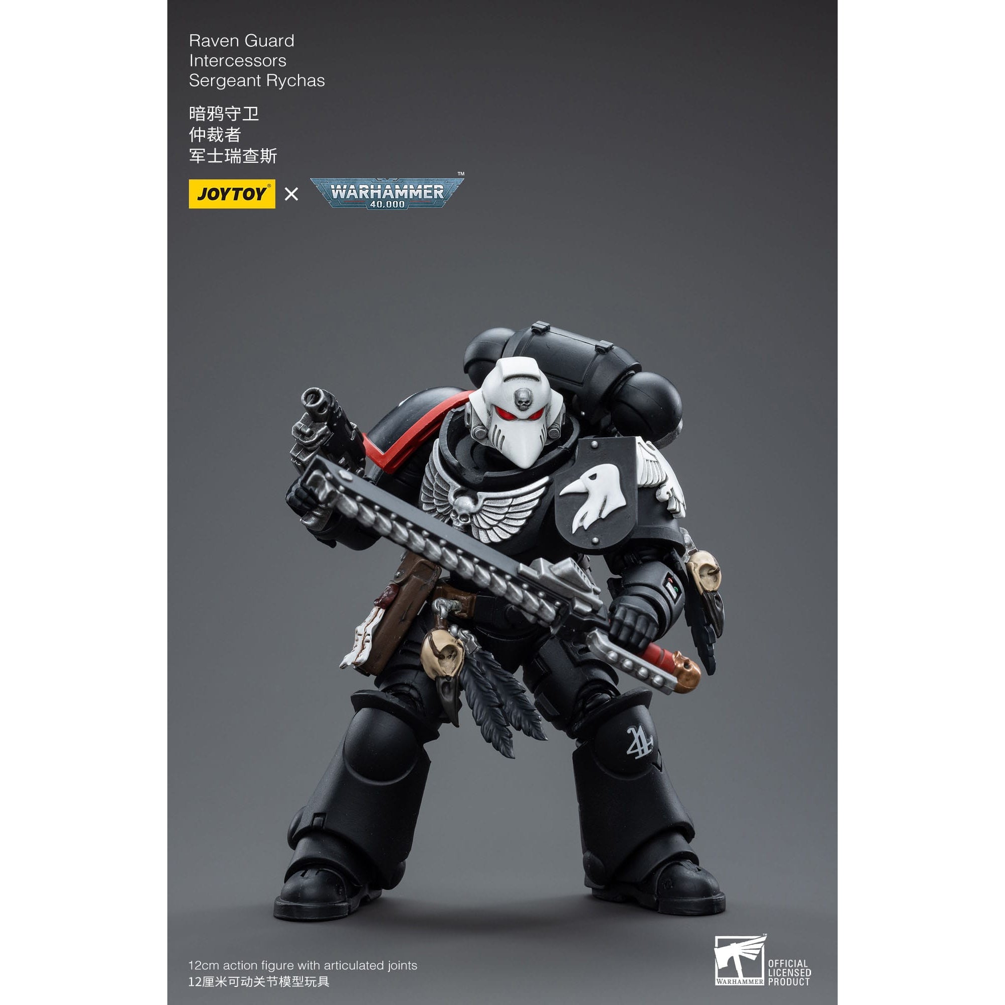 Warhammer 40k: Raven Guard Intercessors Sergeant Rychas - 12 cm-Actionfiguren-JoyToy-Mighty Underground