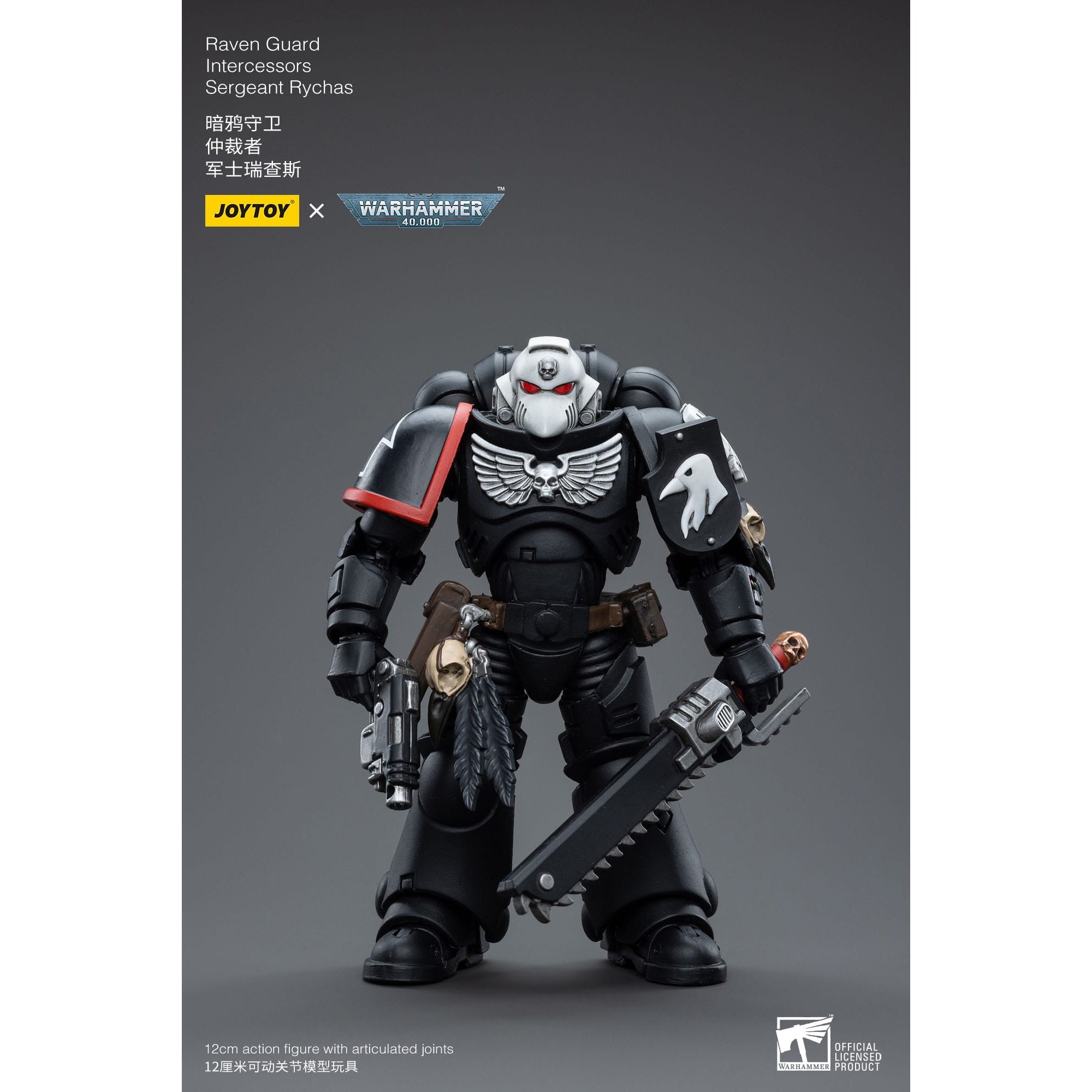 Warhammer 40k: Raven Guard Intercessors Sergeant Rychas - 12 cm-Actionfiguren-JoyToy-Mighty Underground
