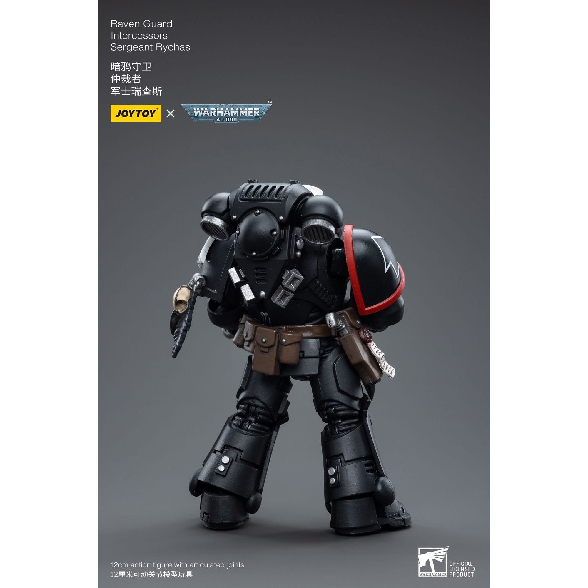 Warhammer 40k: Raven Guard Intercessors Sergeant Rychas - 12 cm-Actionfiguren-JoyToy-Mighty Underground