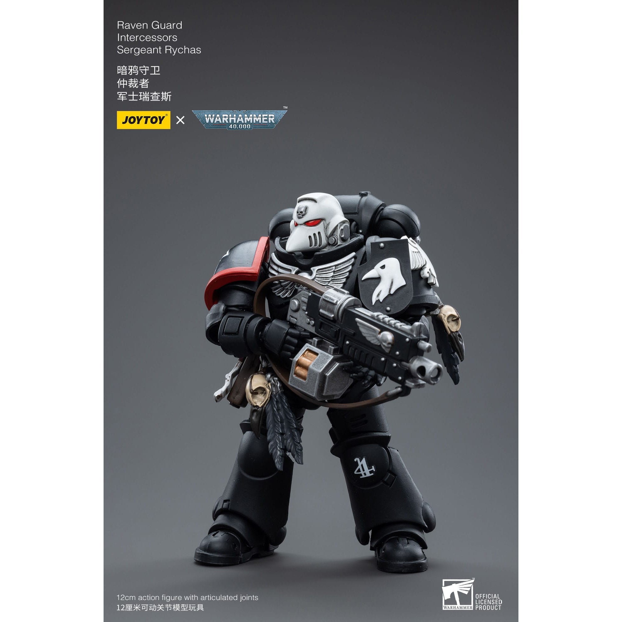 Warhammer 40k: Raven Guard Intercessors Sergeant Rychas - 12 cm-Actionfiguren-JoyToy-Mighty Underground
