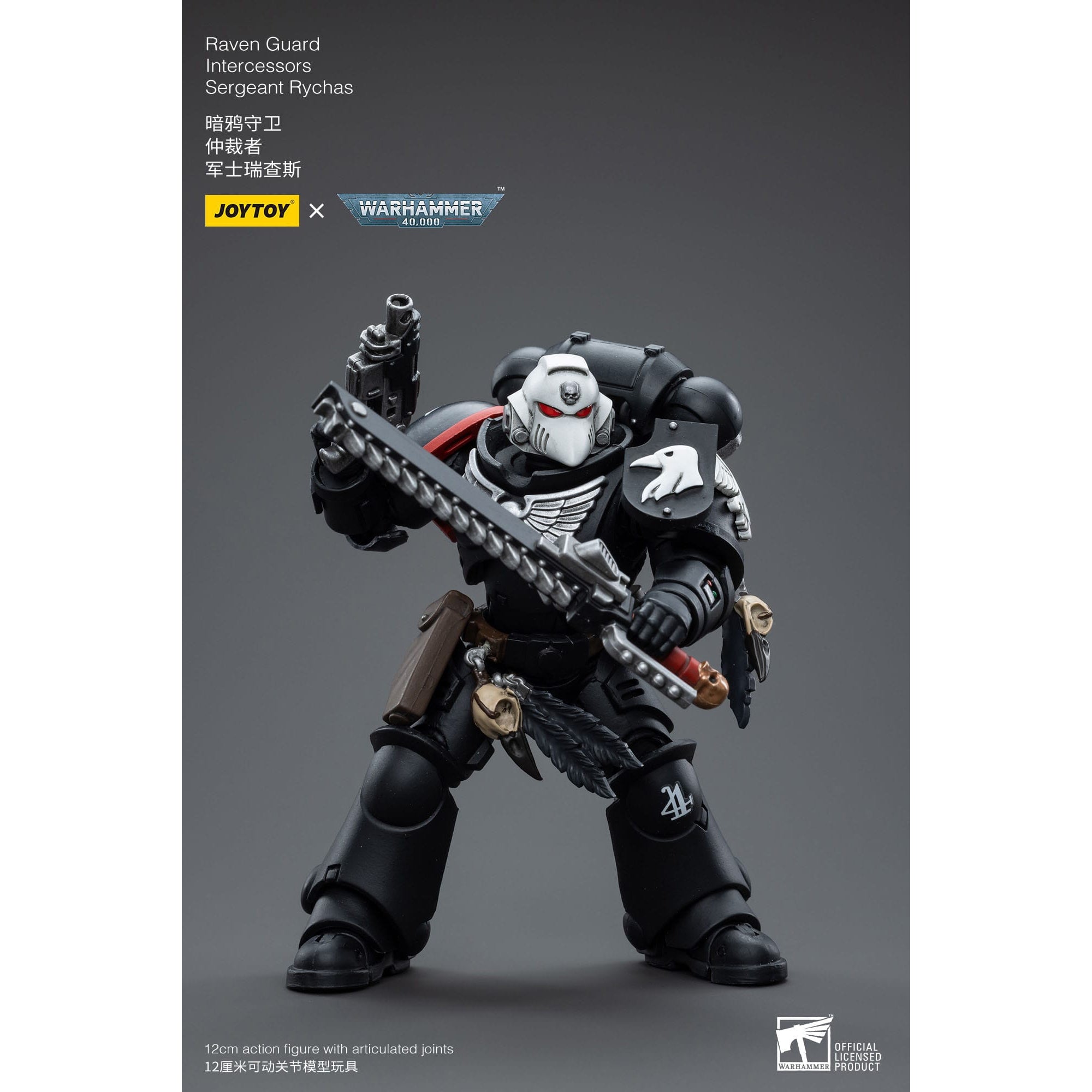 Warhammer 40k: Raven Guard Intercessors Sergeant Rychas - 12 cm-Actionfiguren-JoyToy-Mighty Underground
