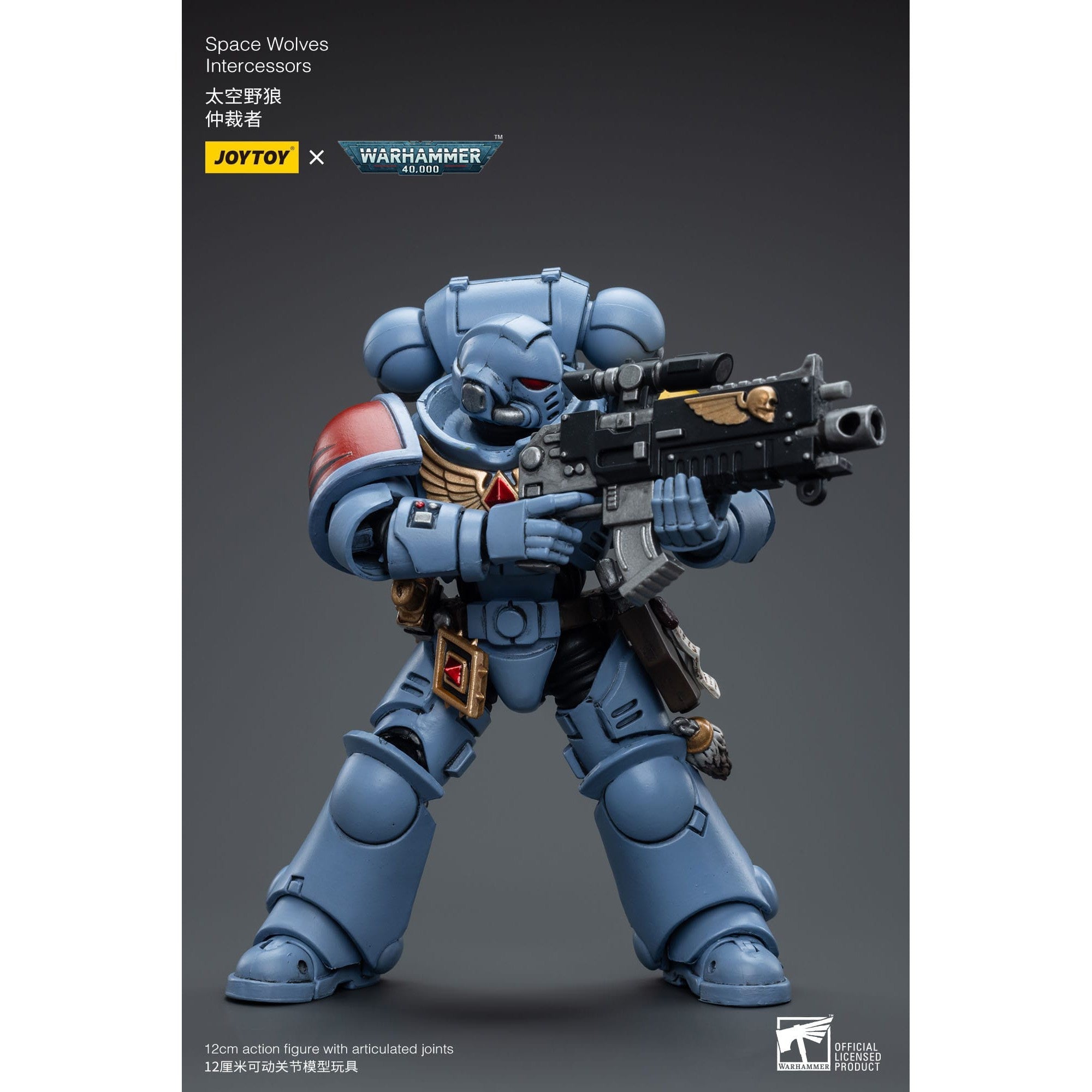 Warhammer 40k: Space Wolves Intercessors - 12 cm-Actionfiguren-JoyToy-Mighty Underground