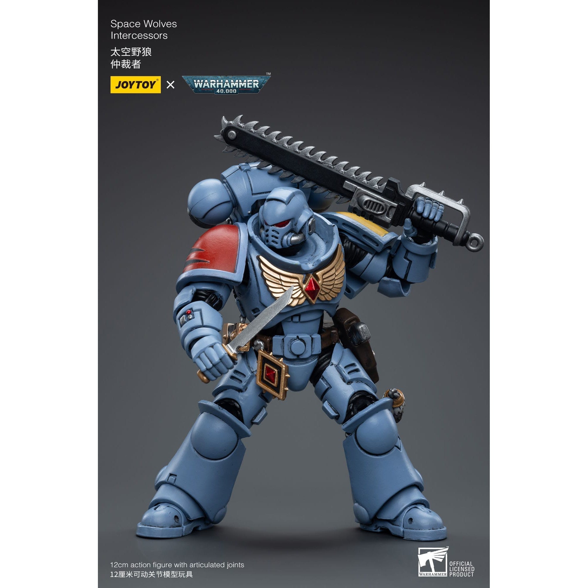 Warhammer 40k: Space Wolves Intercessors - 12 cm-Actionfiguren-JoyToy-Mighty Underground