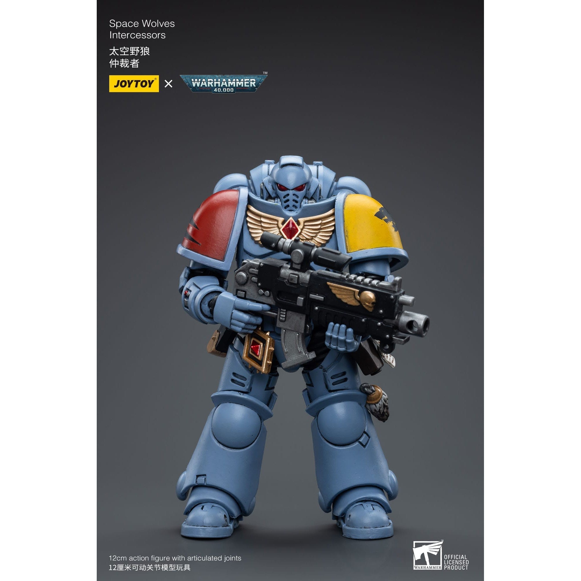 Warhammer 40k: Space Wolves Intercessors - 12 cm-Actionfiguren-JoyToy-Mighty Underground