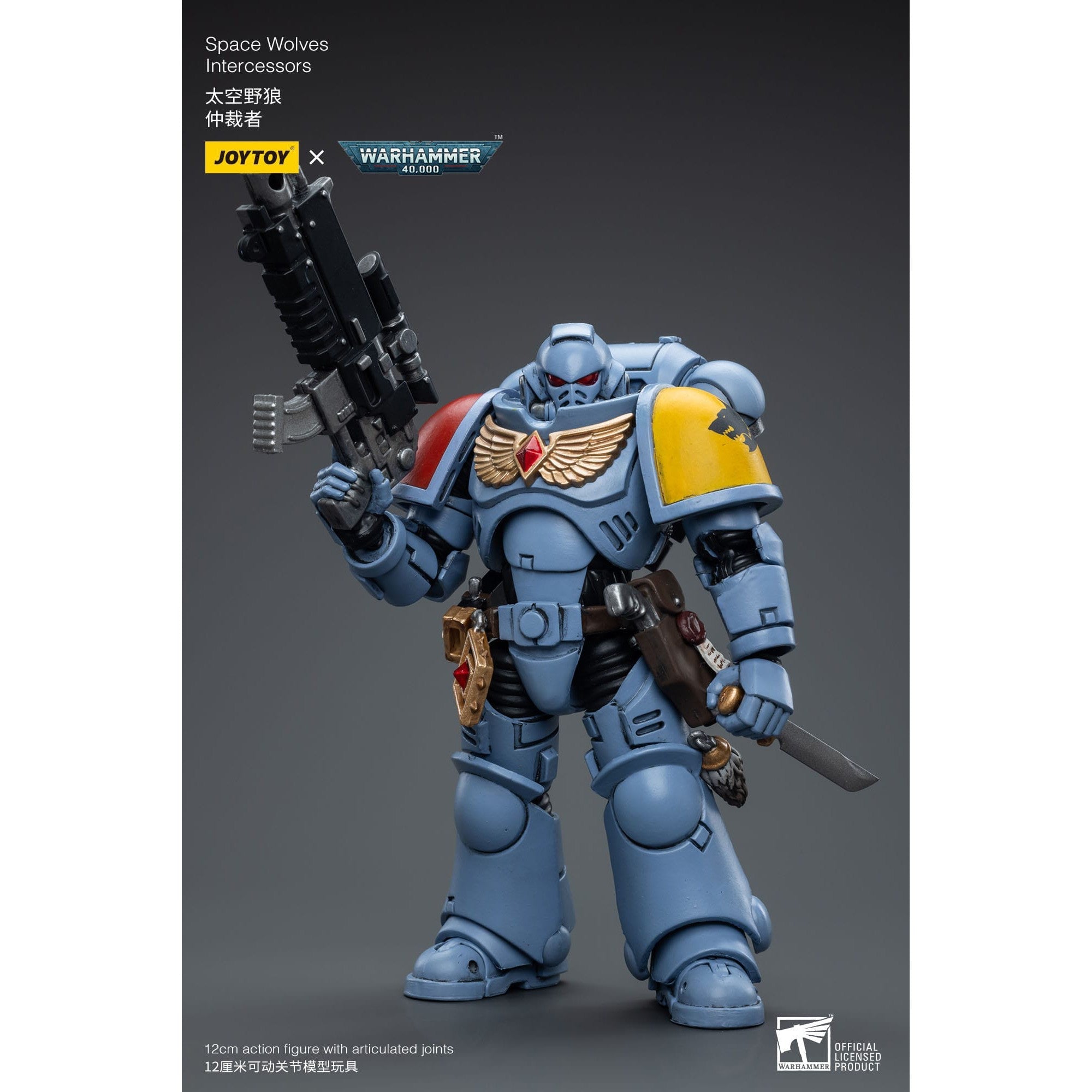 Warhammer 40k: Space Wolves Intercessors - 12 cm-Actionfiguren-JoyToy-Mighty Underground