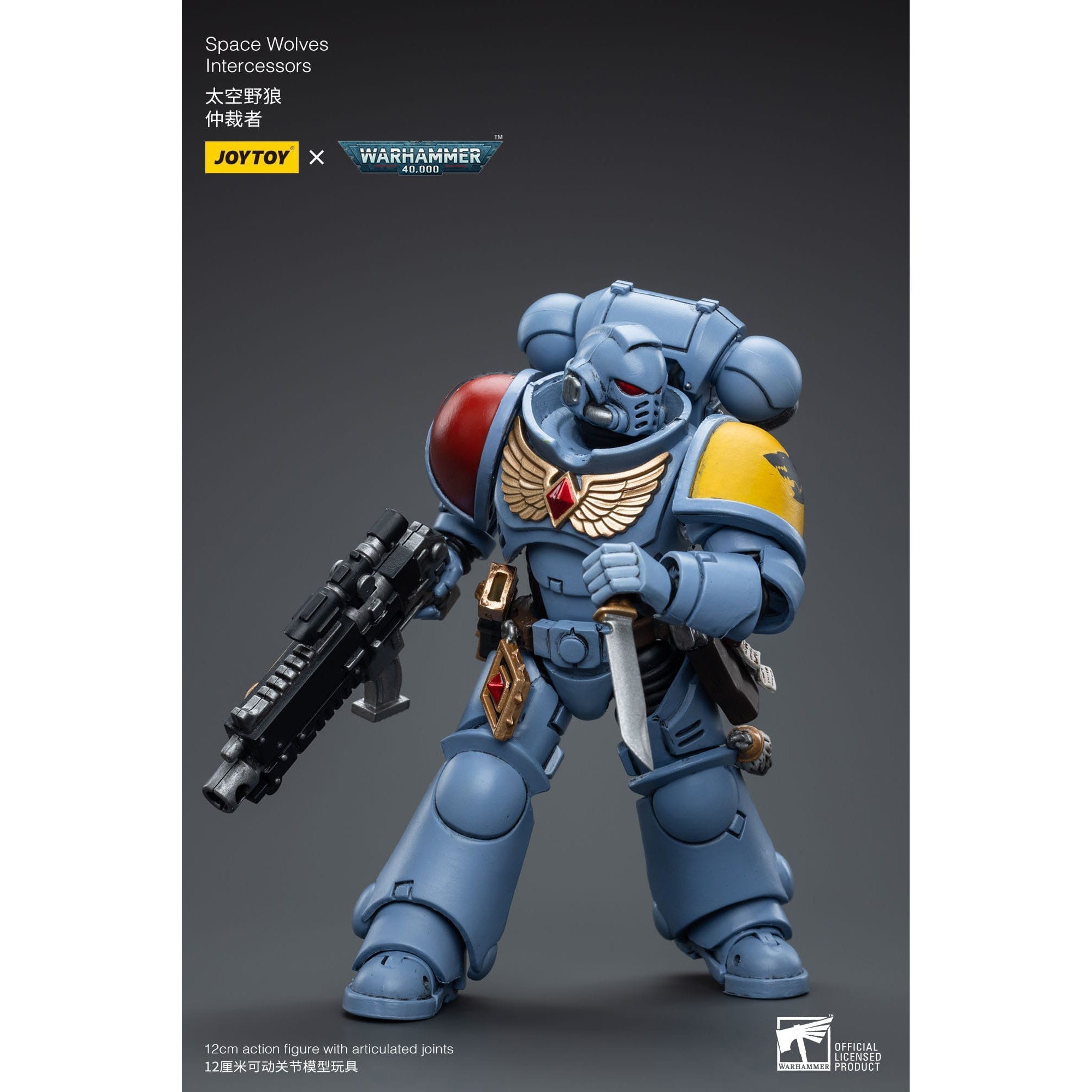 Warhammer 40k: Space Wolves Intercessors - 12 cm-Actionfiguren-JoyToy-Mighty Underground