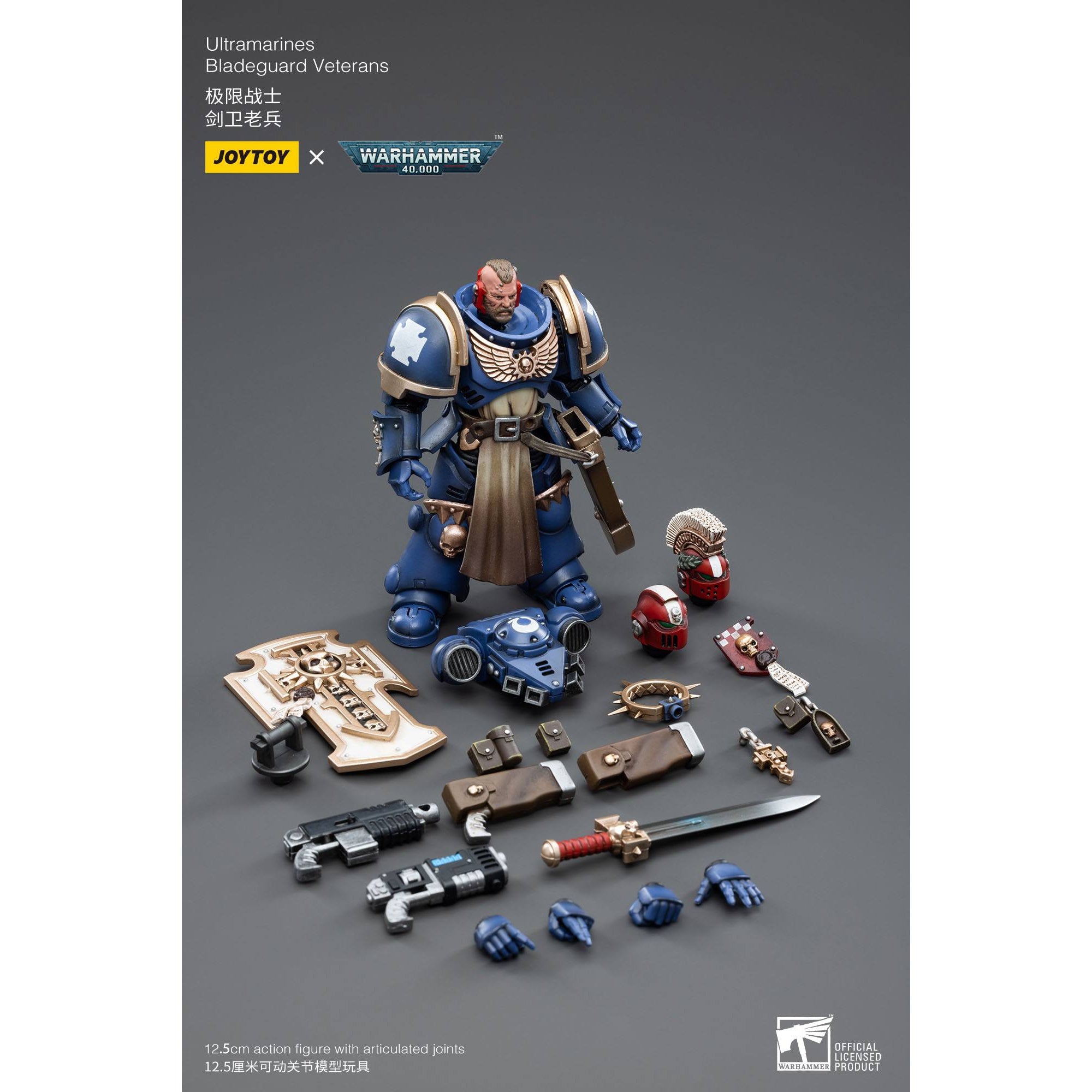 Warhammer 40k: Ultramarines Bladeguard Veteran - 12 cm-Actionfiguren-JoyToy-Mighty Underground