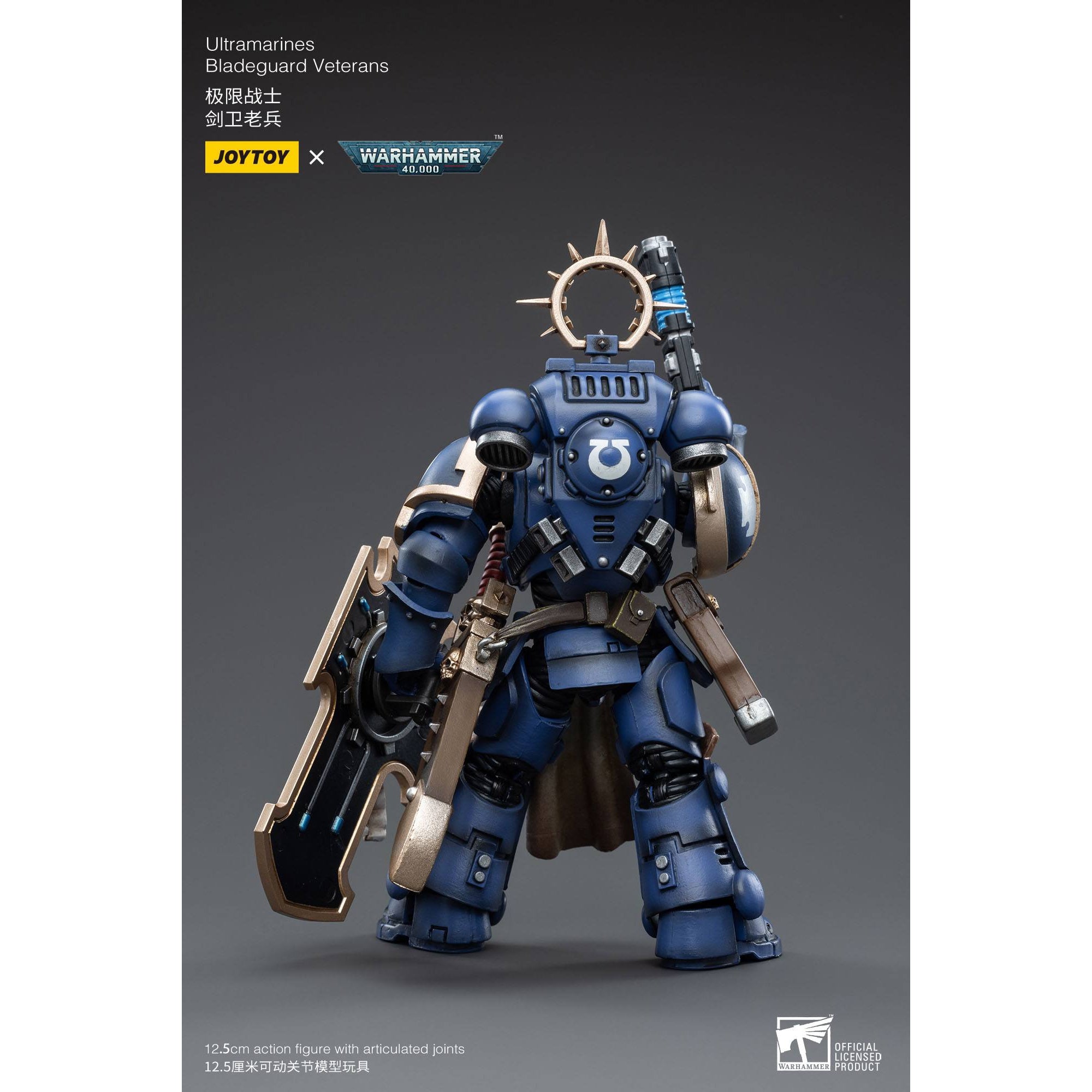 Warhammer 40k: Ultramarines Bladeguard Veteran - 12 cm-Actionfiguren-JoyToy-Mighty Underground